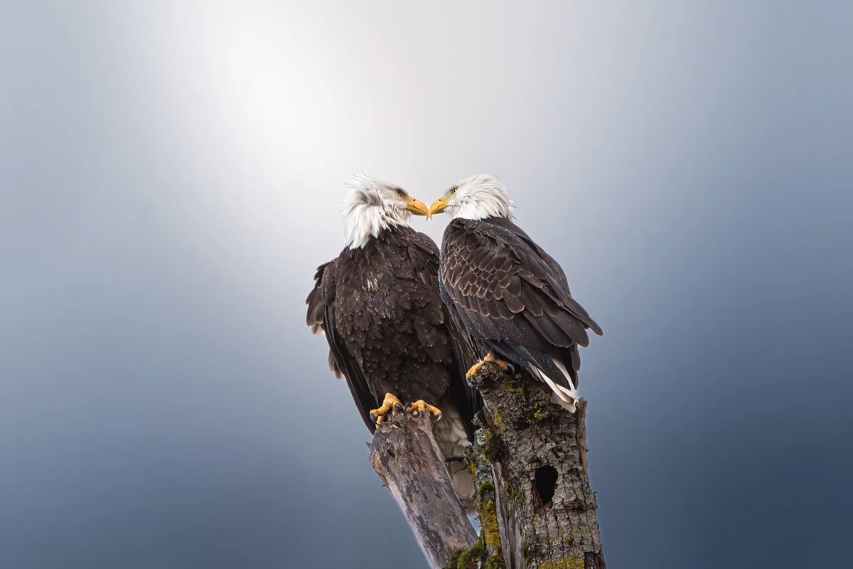 JohnMendozaDivinelyFramedPhotography© 2025 John Mendoza-24.jpg