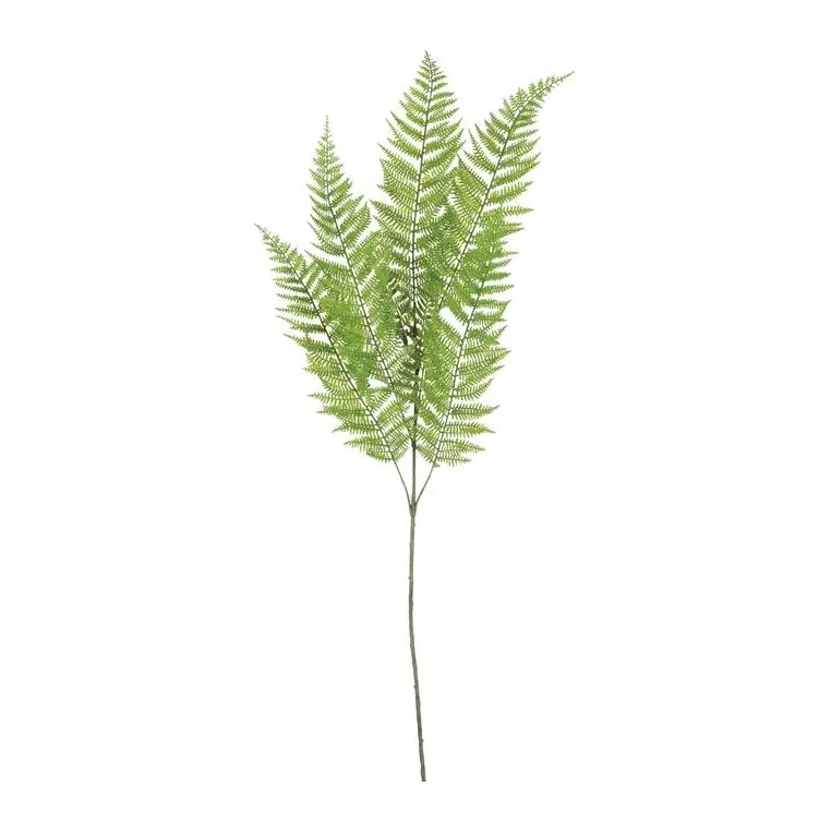 Lace Fern Spray