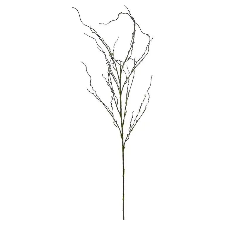 Moss Twig Branch
