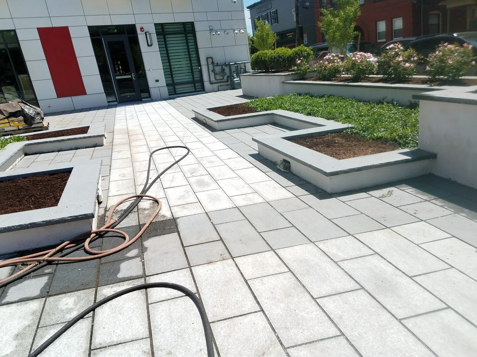 Newly renovated outdoor plaza with concrete planters, green plants, and pink flowering shrubs, with a modern building in the background and construction tools on the ground.