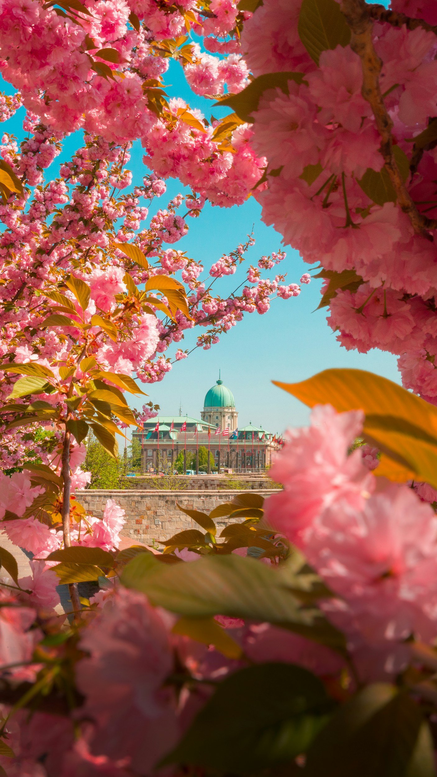 Is Budapest Worth Visiting in 2026? A Local's Honest Take (After 10 Years as a Guide)