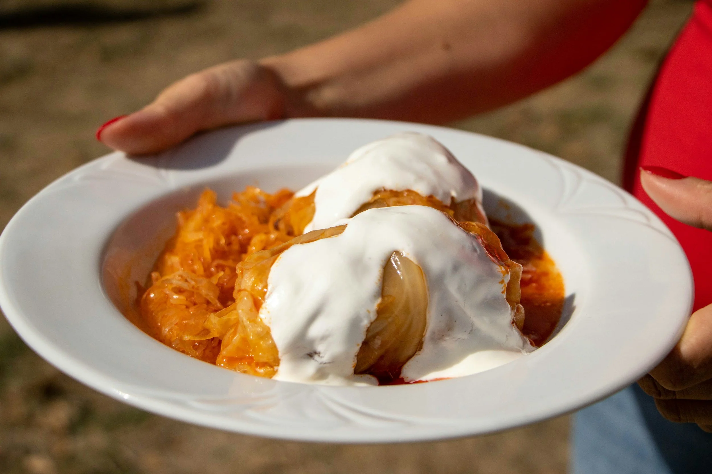 12 Traditional Hungarian Dishes You Must Try in 2026 | Local Budapest Guide