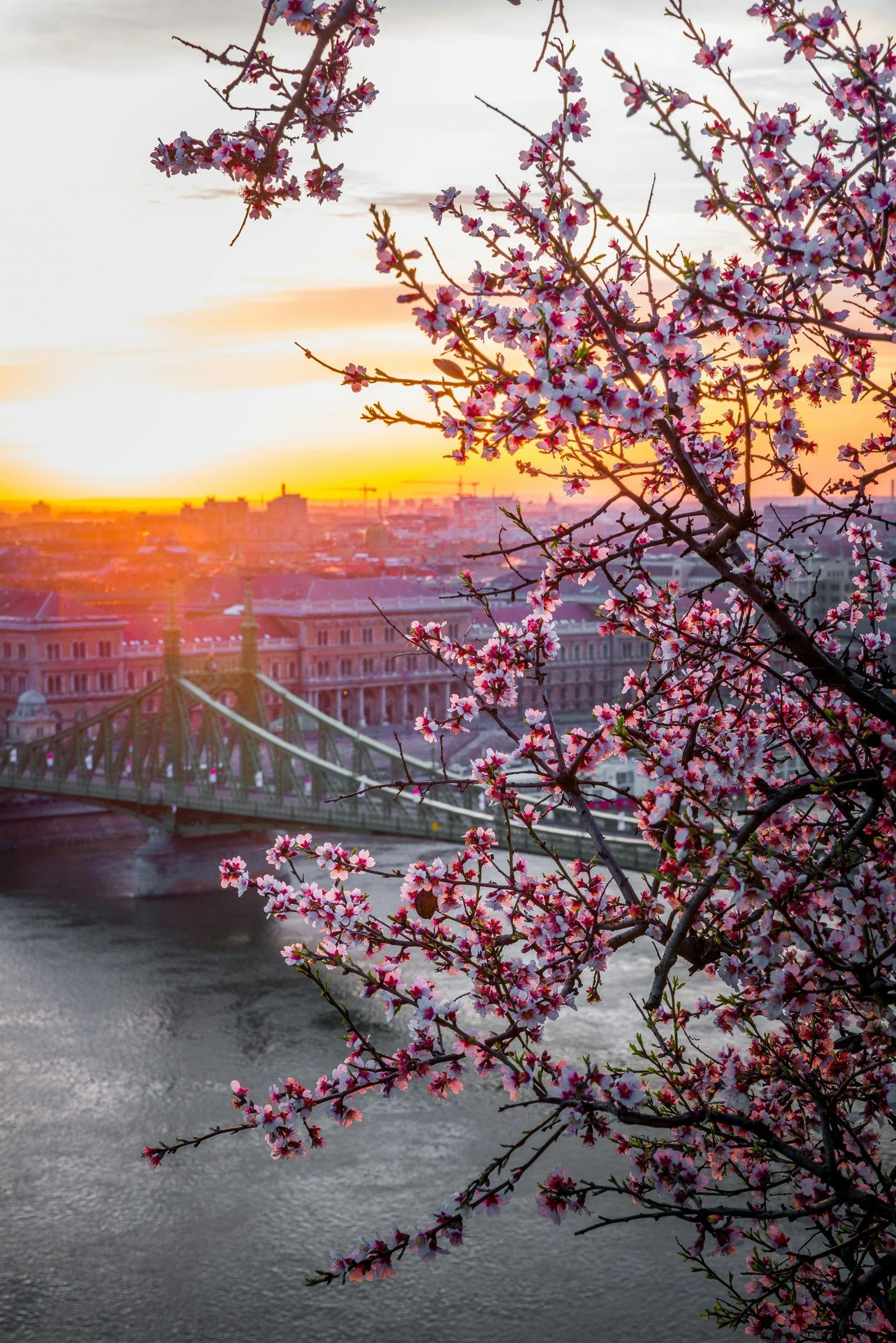 How to Spend 3 Days in Budapest — A Local Guide's Perfect Itinerary (2026)