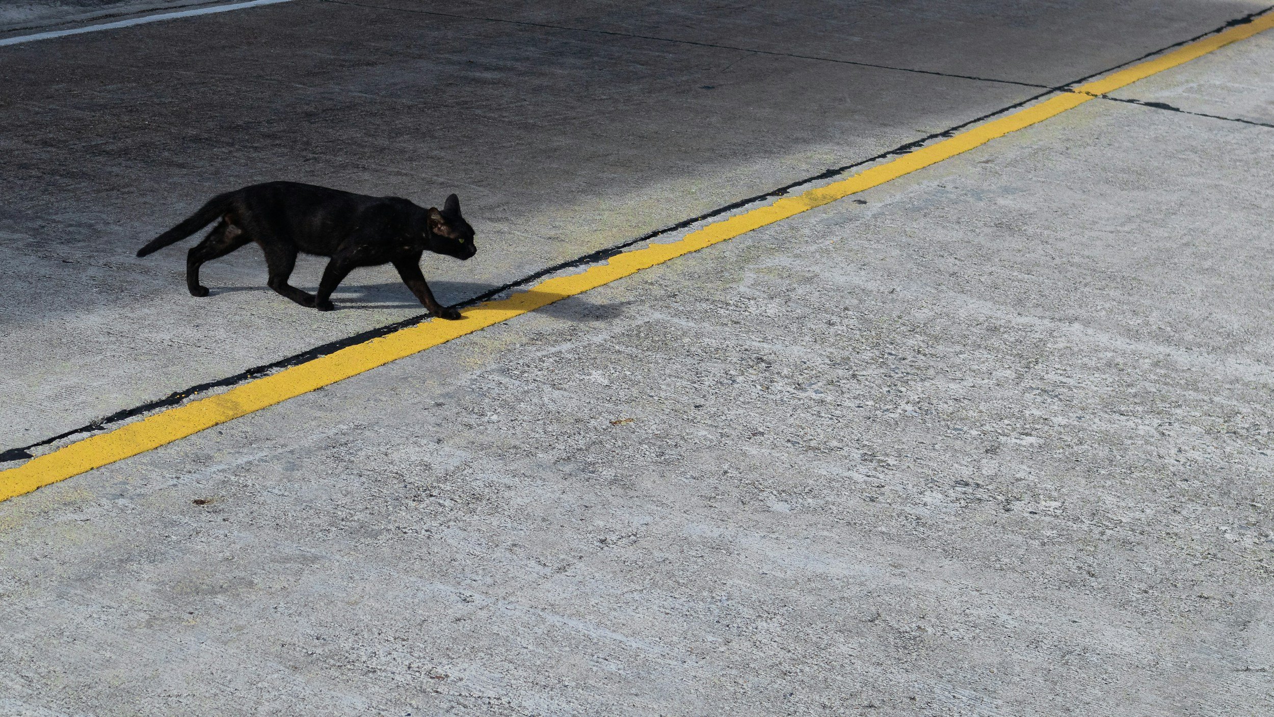 Hungarian Superstitions — A Local Guide