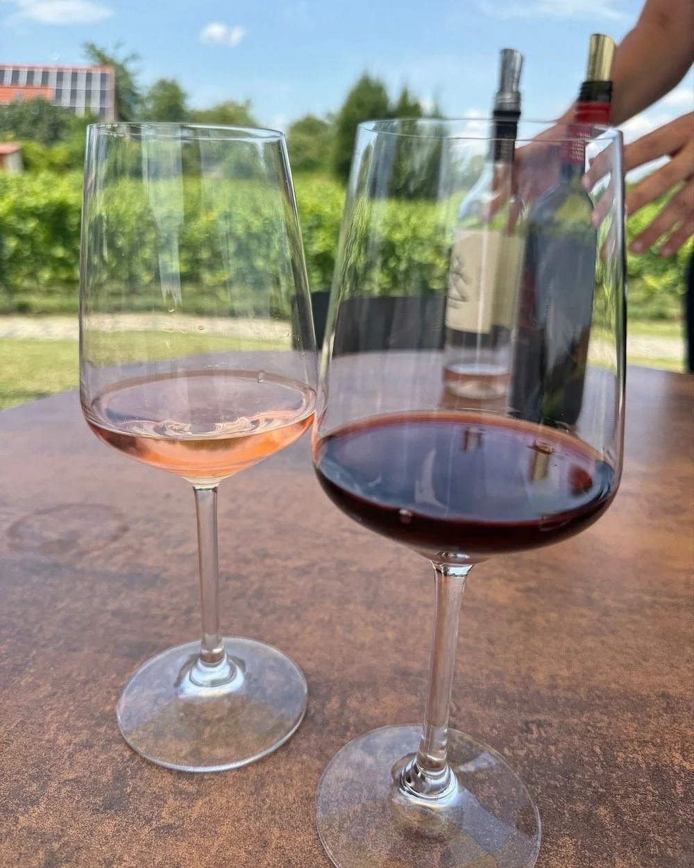 Hungarian Wine: The Complete Guide to One of Europe's Best Kept Secrets (2026)