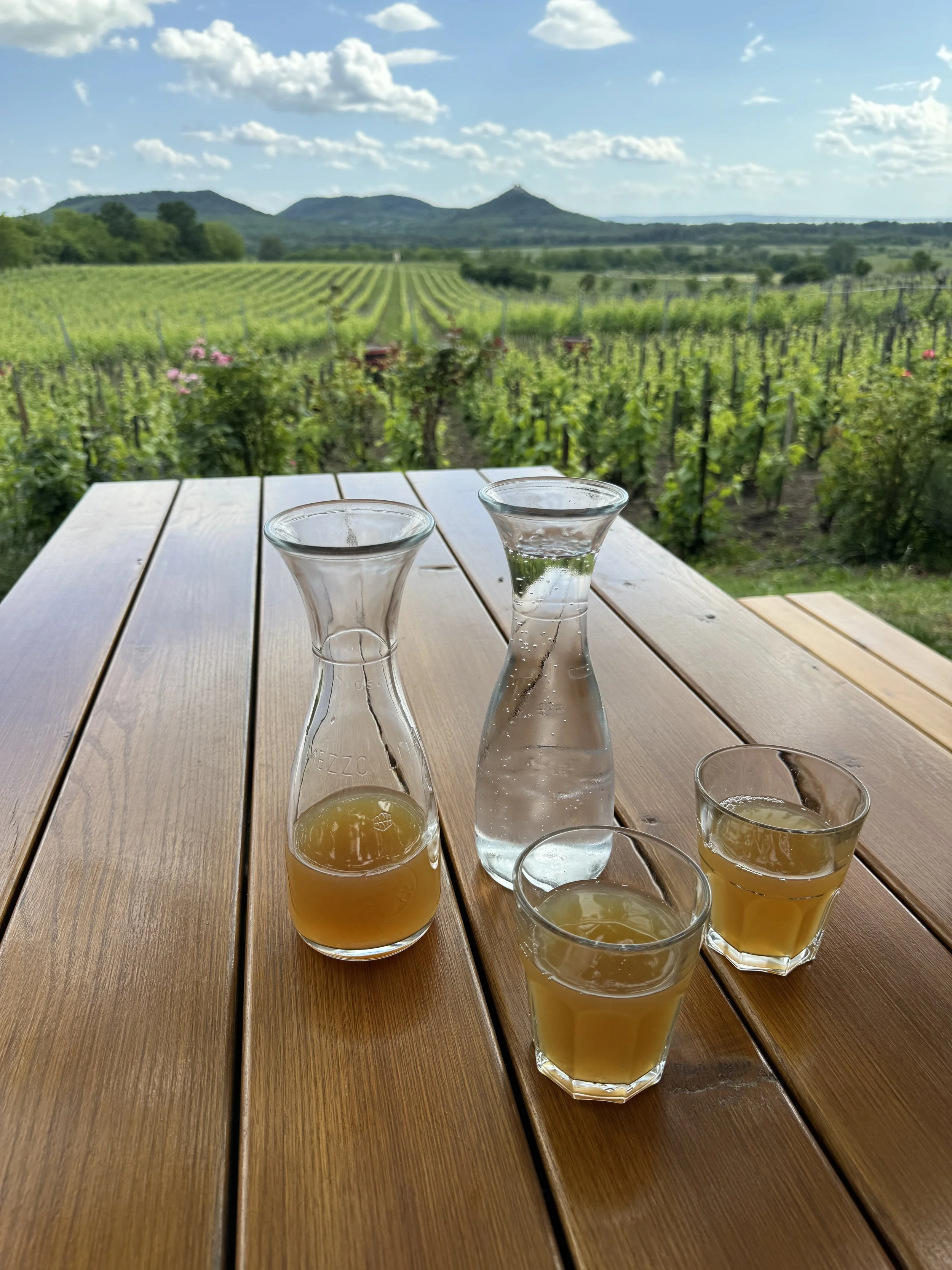 Enjoying fresh grape juice among the volcanic hills