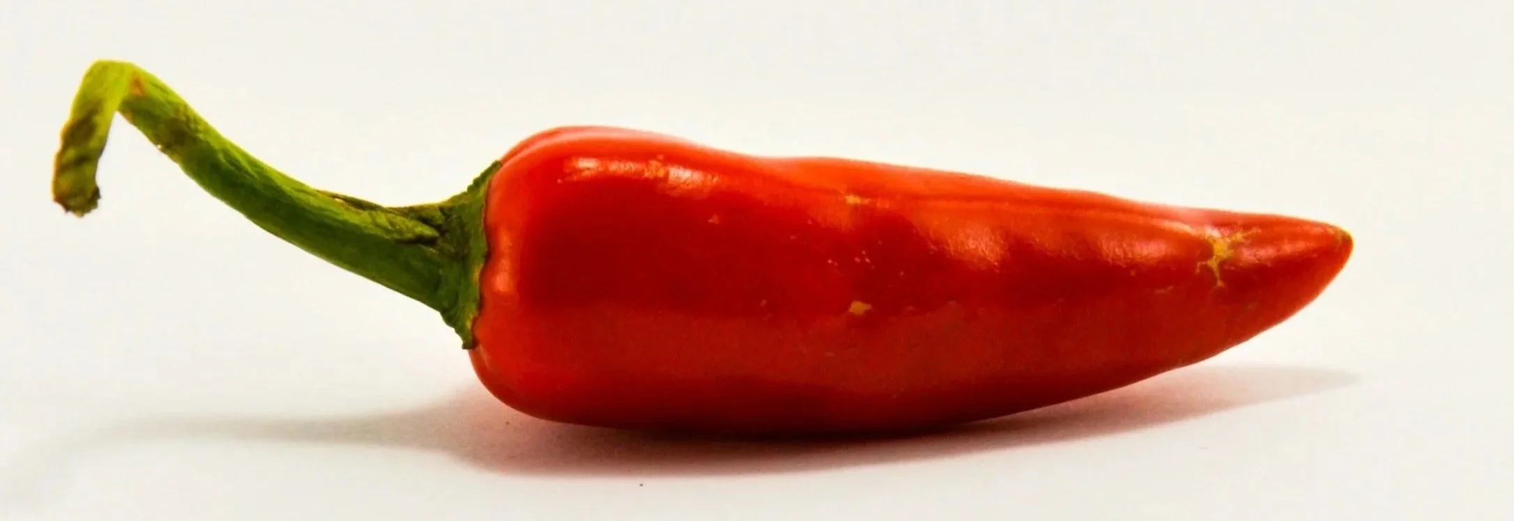 hungarian paprika