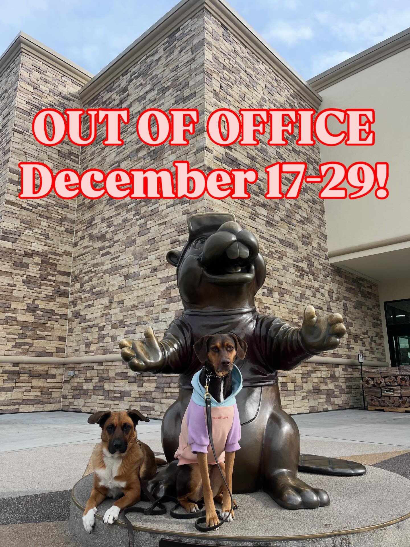 Cleo, Roo &amp; I are taking a much needed break!

After a 15.5 hour drive, and of course a stop at Buc-ee&rsquo;s for brisket, we have finally arrived in Michigan to spend the holidays with family. Just as much as I need the break, so do the girls. 