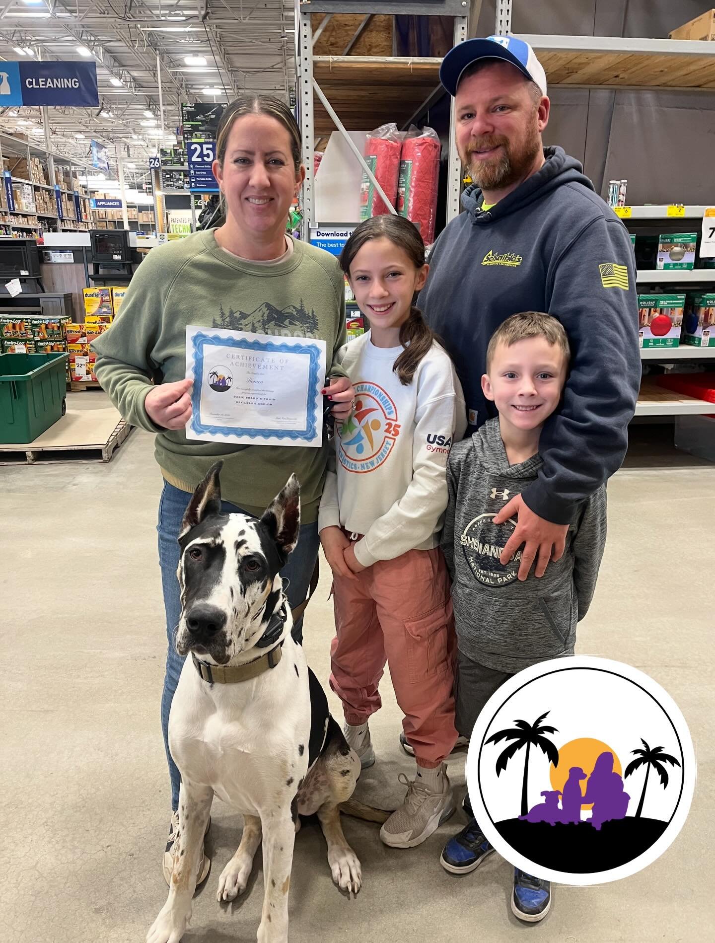 🎓GRADUATE ALERT🎓

Everyone help me in wishing Romeo a big CONGRATULATIONS on graduating our Basic Board &amp; Train + Off-Leash Add on. 

Romeo was your basic big puppy who came to us needing some manners. In pure Great Dane style, he has no idea o