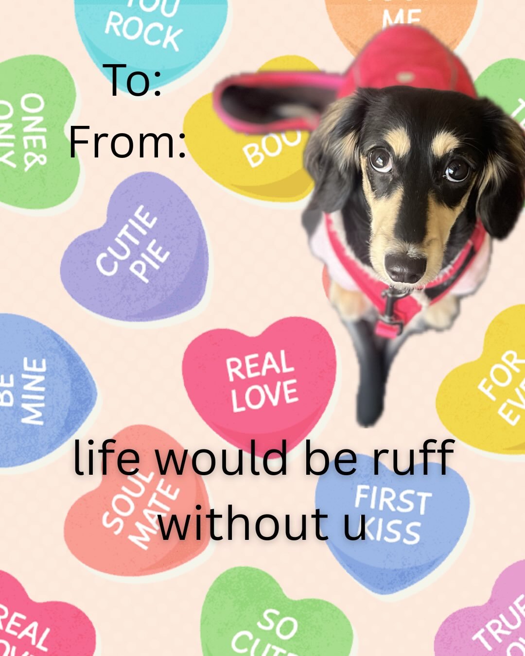 Send these to ur crush!
&bull;
&bull;
&bull;
&bull;
Happy Valentines Day from the Pack at LeVeL Up Canine! Wishing you many doggie dates &amp; kisses. 
💘🐾💘🐾💘🐾💘🐾💘🐾💘🐾💘🐾💘

#valentinesday #crush #balentinesdaycards #caninecards #lovers