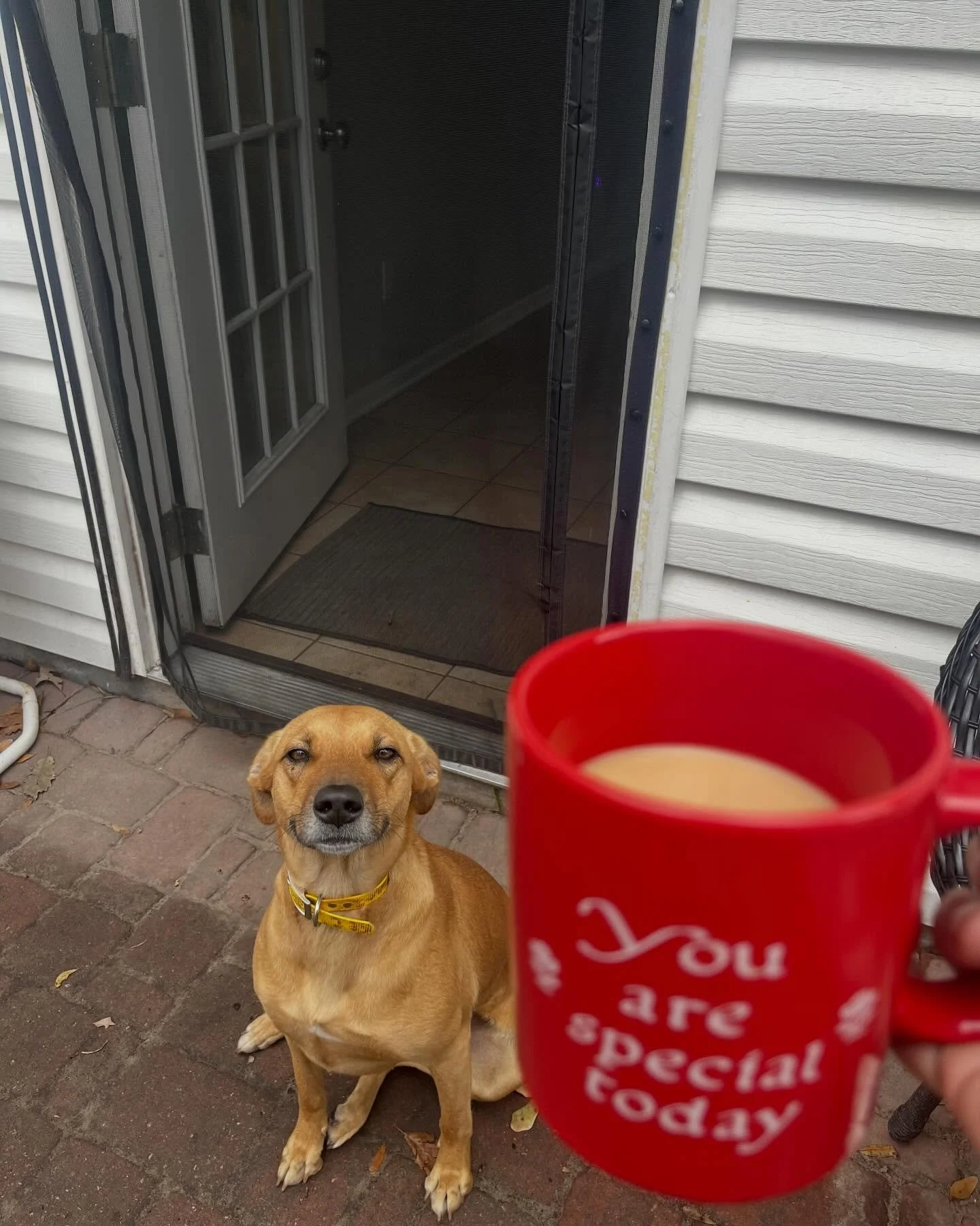 February 2026 Photo Dump 📸

📍 Location: Ladson, SC
🐾 Trainer: Trainer Leah, CDT
📞 Call or Text: 616-610-7060
🌐 Visit: www.level-up-canine.com

#dogtraining #levelupcanine #levelupcanine2025 #ladsonsc #sc