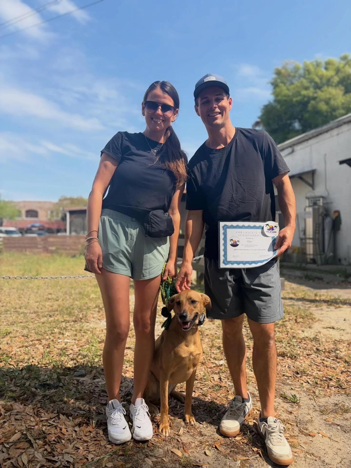 🎓GRADUATE ALERT🎓

Everyone help me in wishing WAFER a big CONGRATULATIONS on graduating our Behavioral Board &amp; Train Program. 

Wafer came into our program due to her intense fear-based behaviors whenever guests would come over to the house, es
