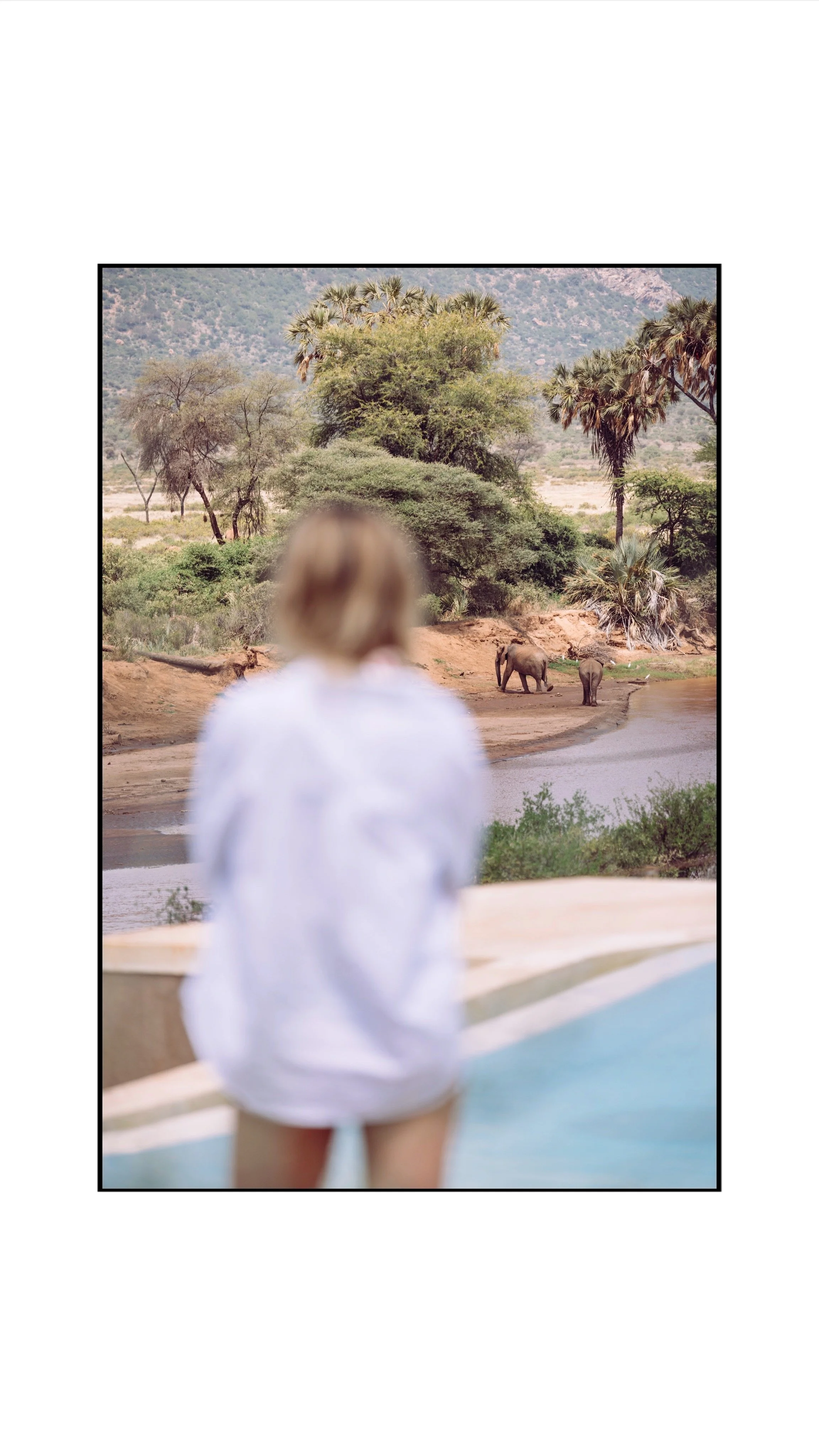 Safari film photography