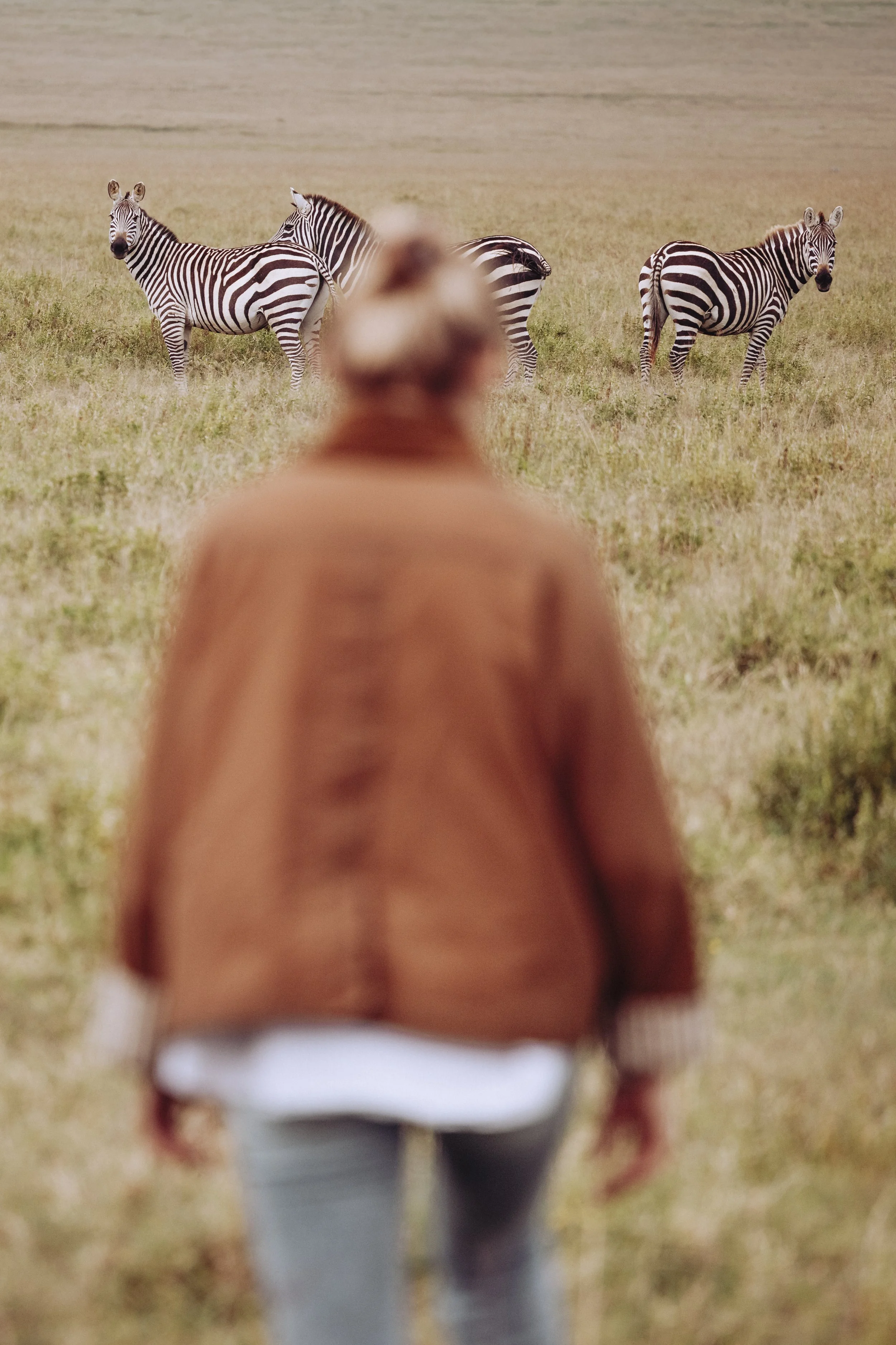 Walking safari experiance