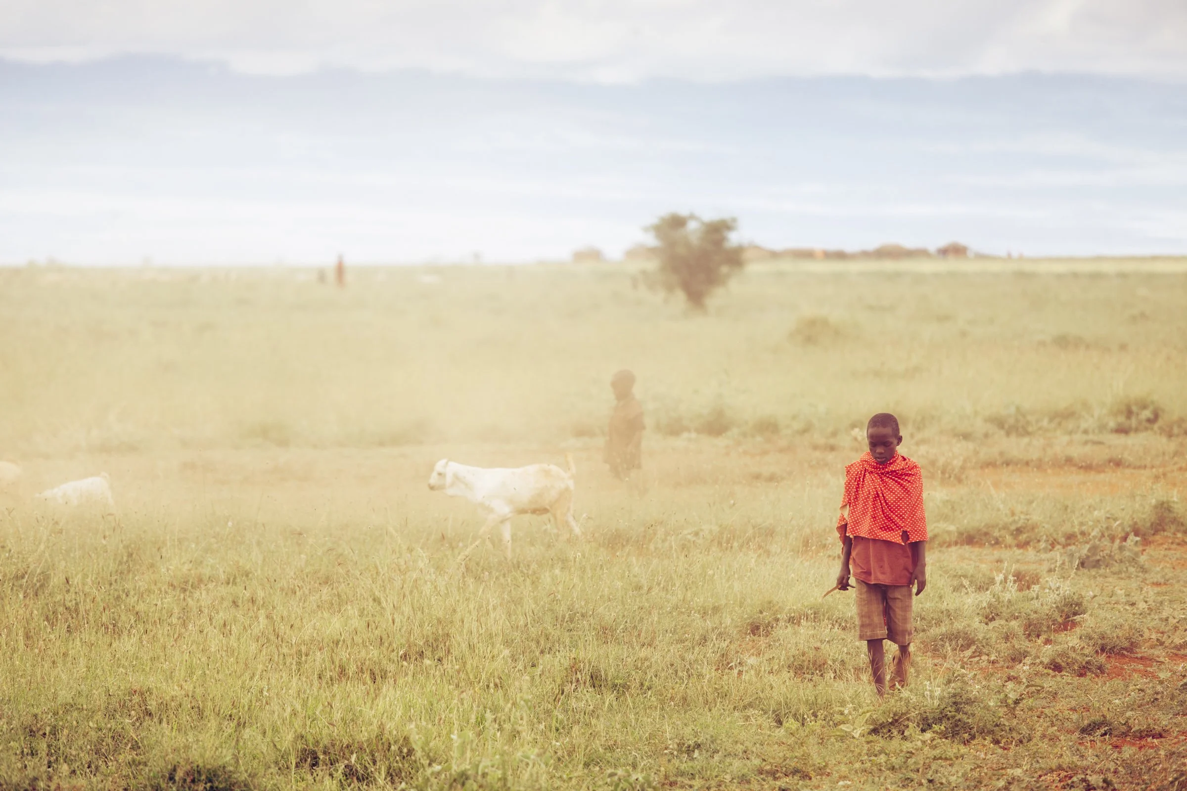 KenyaSafari_9905.jpg