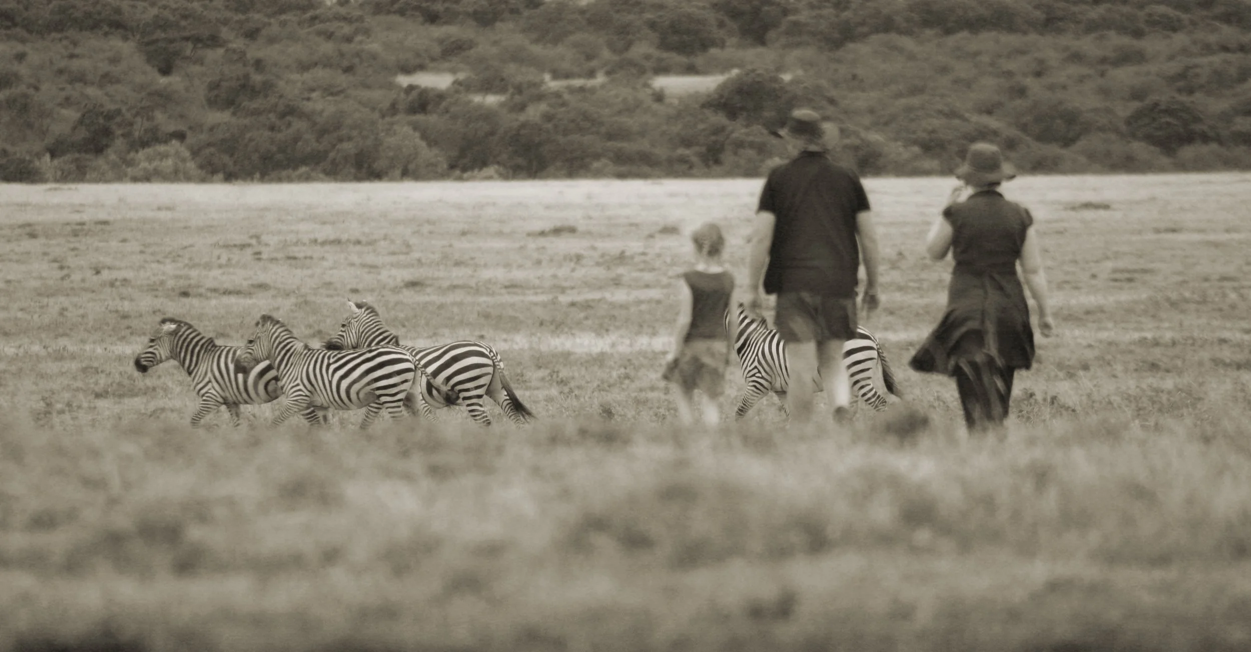 Family bush walk in the Mara.jpg
