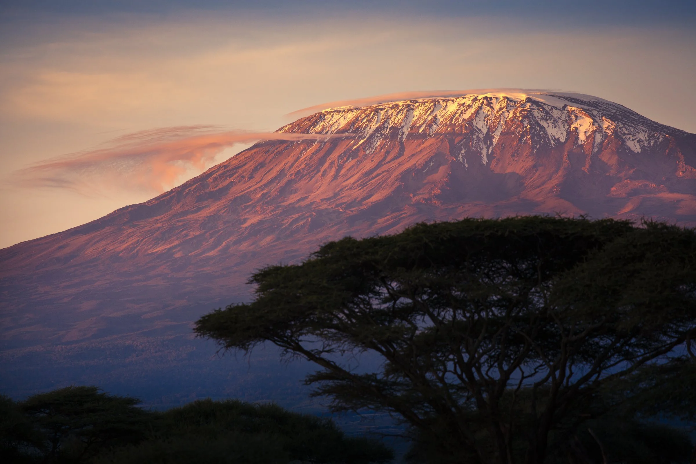 KenyaSafari_0526.jpg