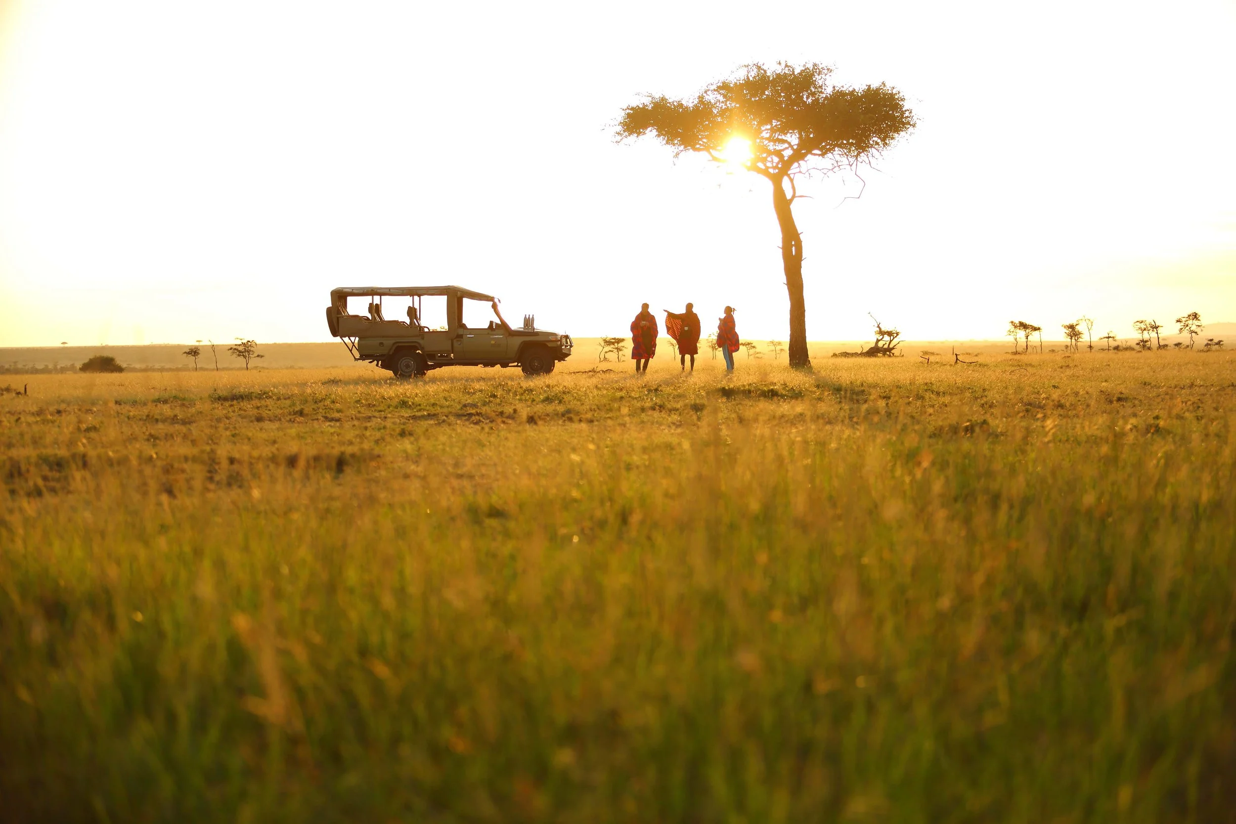 Sunset Sundowner 3.jpg