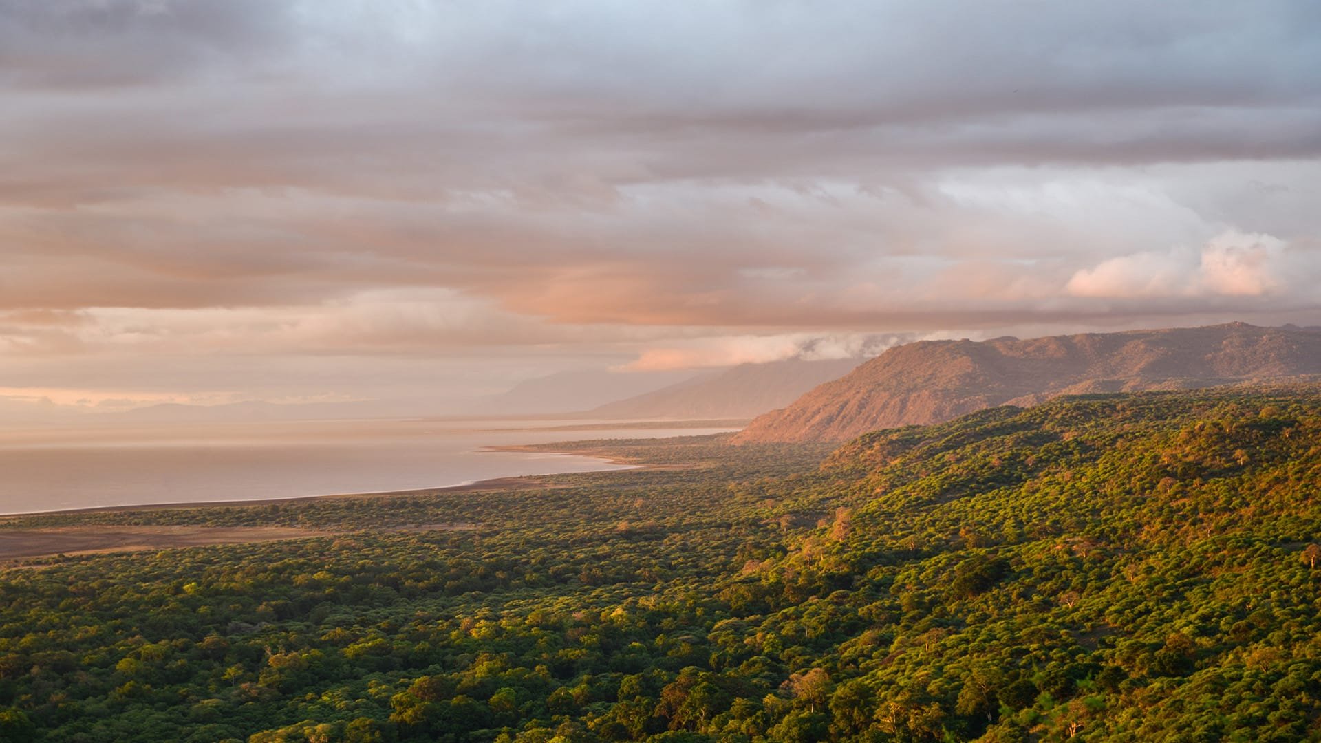 Aerial-View-Lake-Manyara-National-Park-Tanzania.jpg