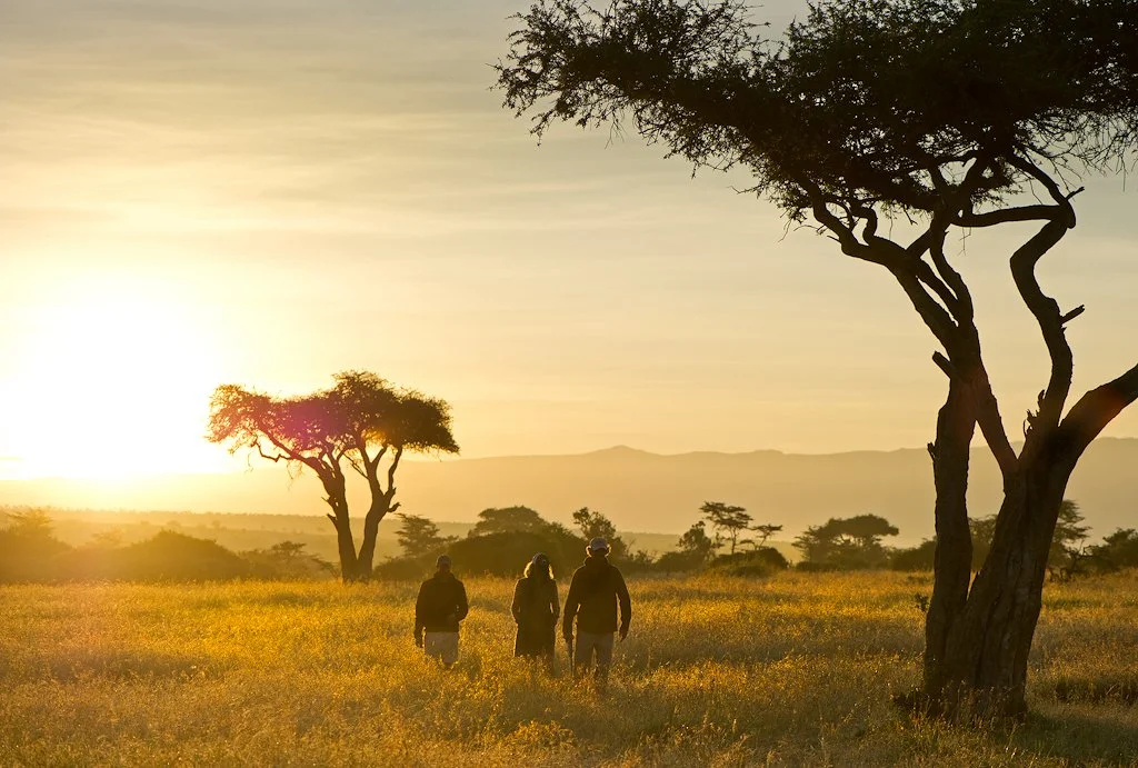 Guided Game Walks.jpg