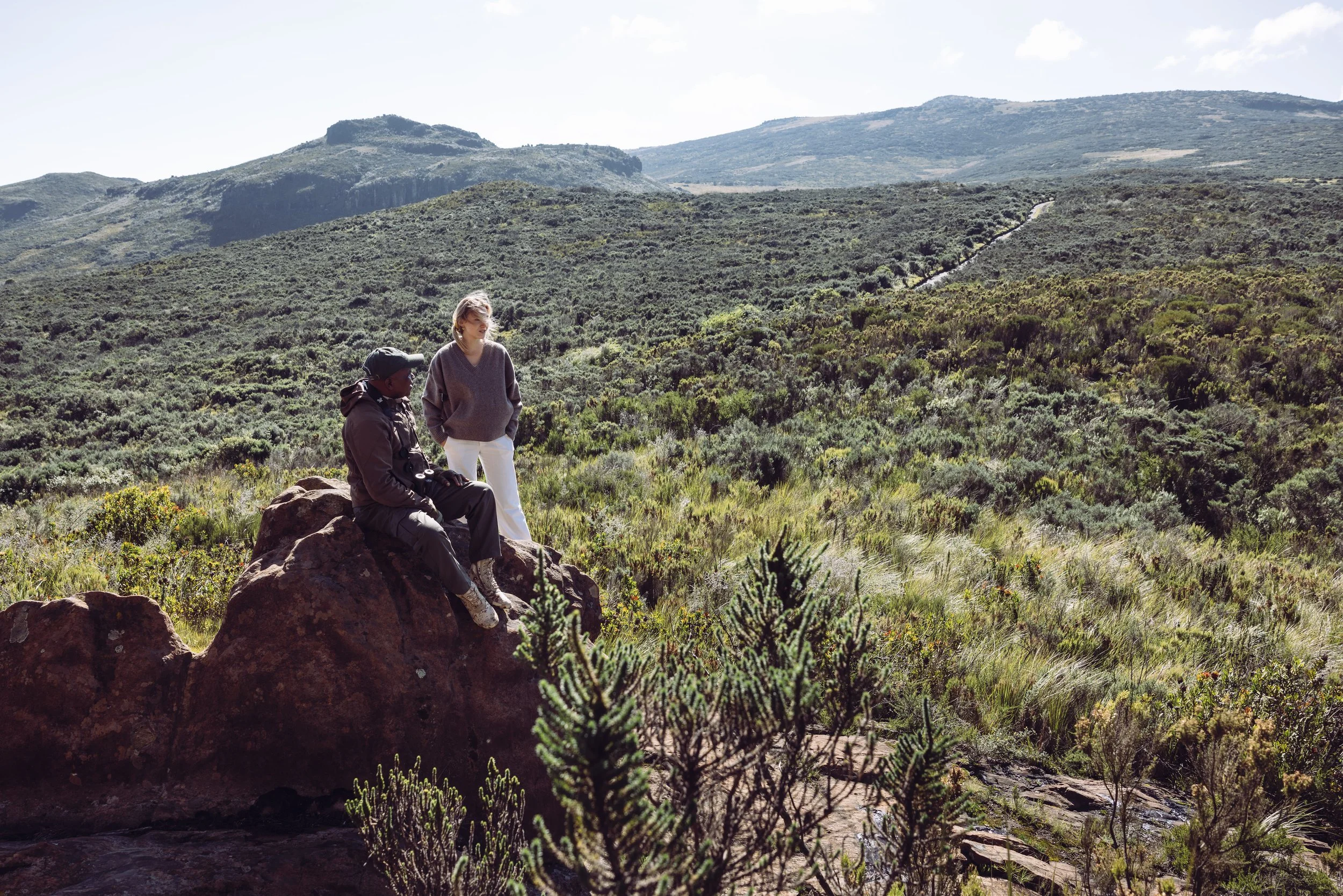 Aberdare National park Kenya