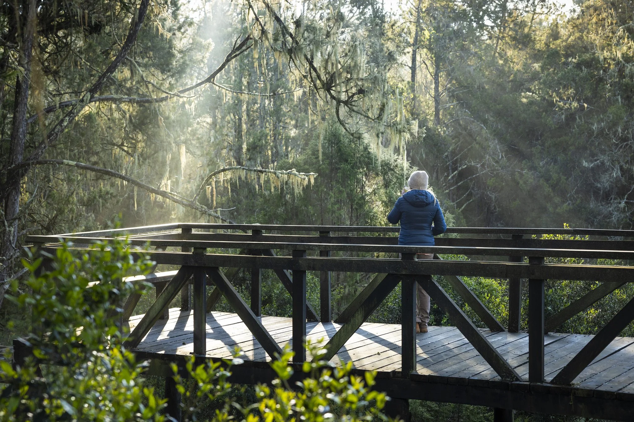 Aberdare Forest with Eyes On Africa Safaris