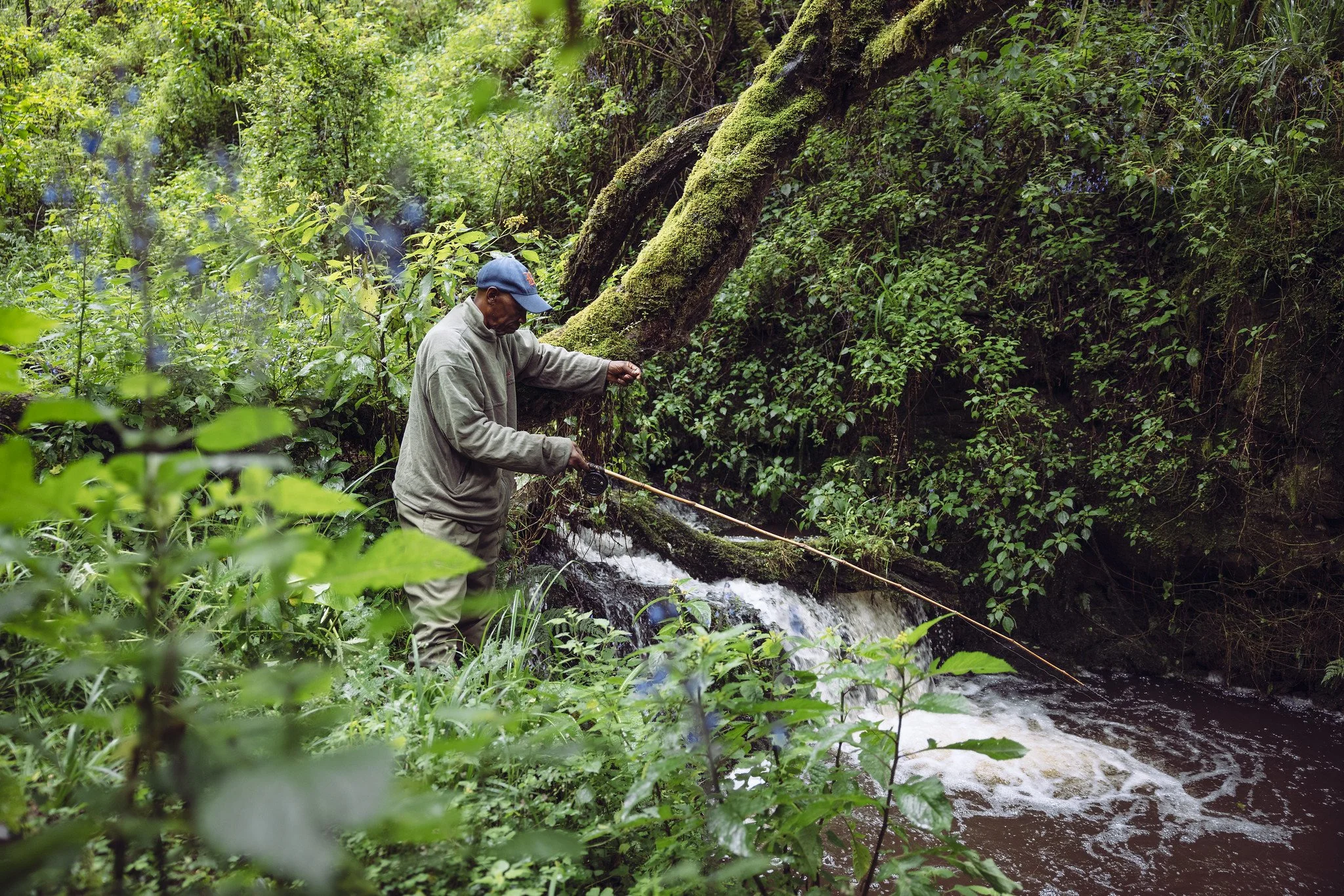 Fly fishing in Aberdares Kenya