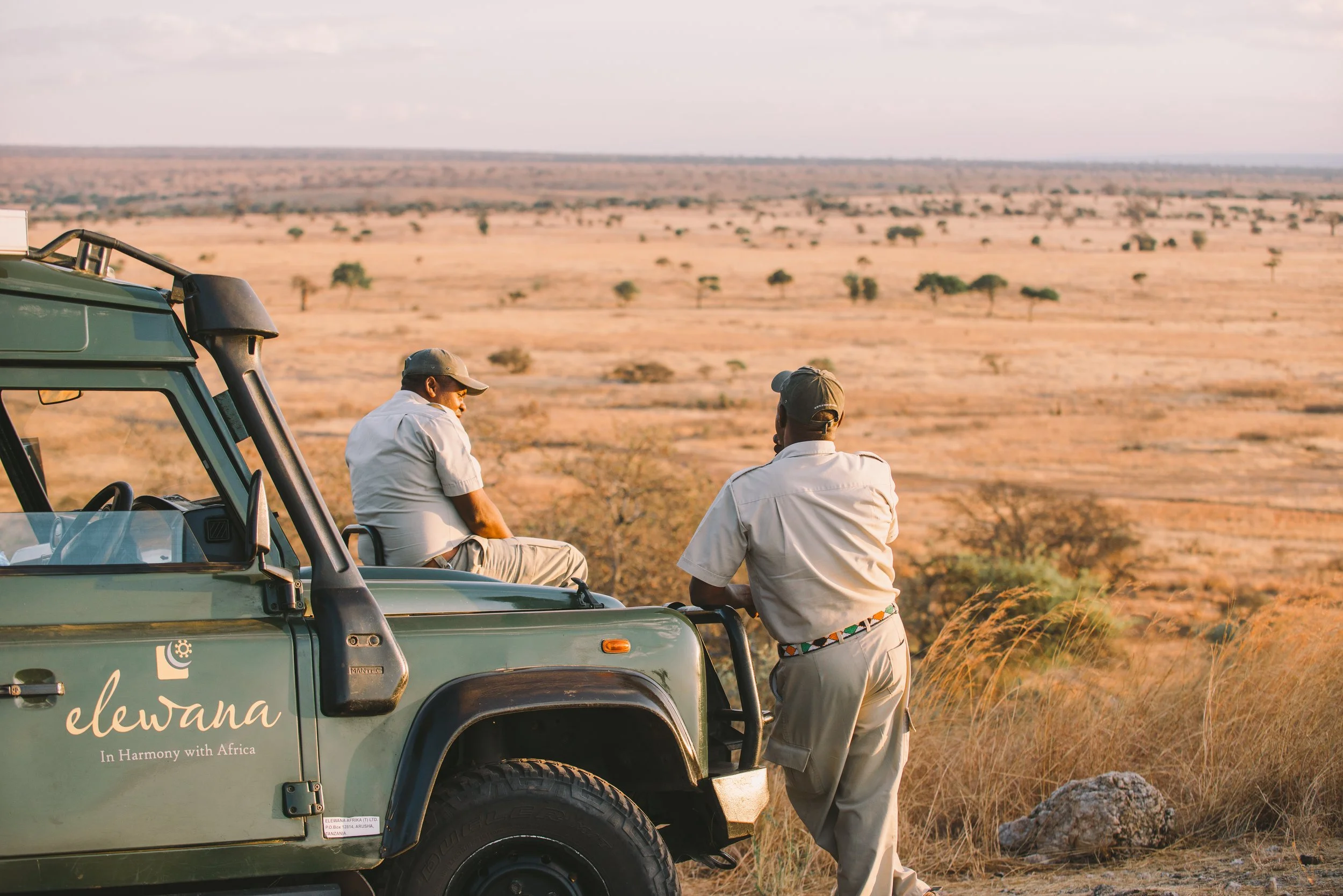 Elewana Tarangire Treetops-133.jpg