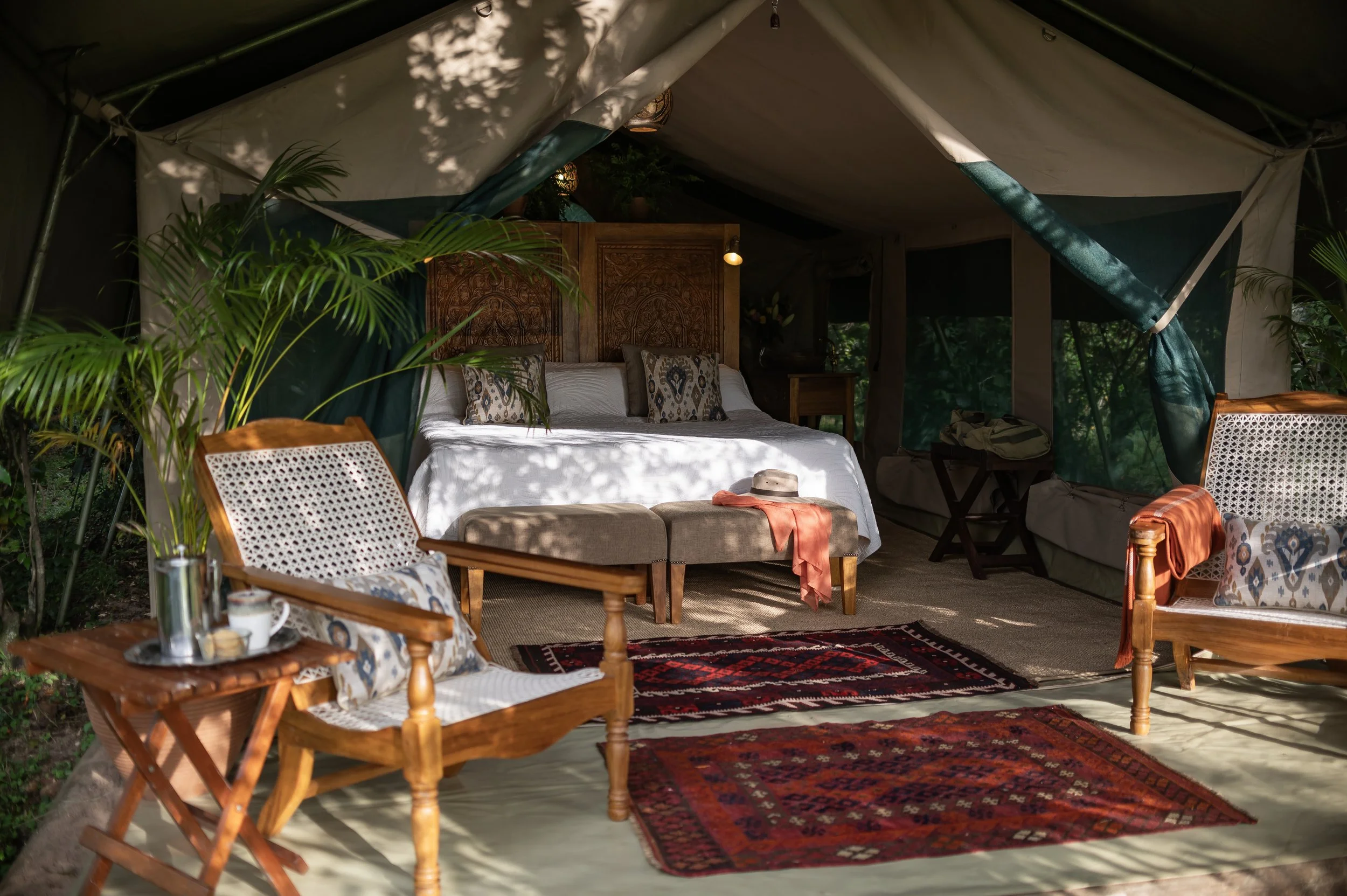 Classy Kenya Safari