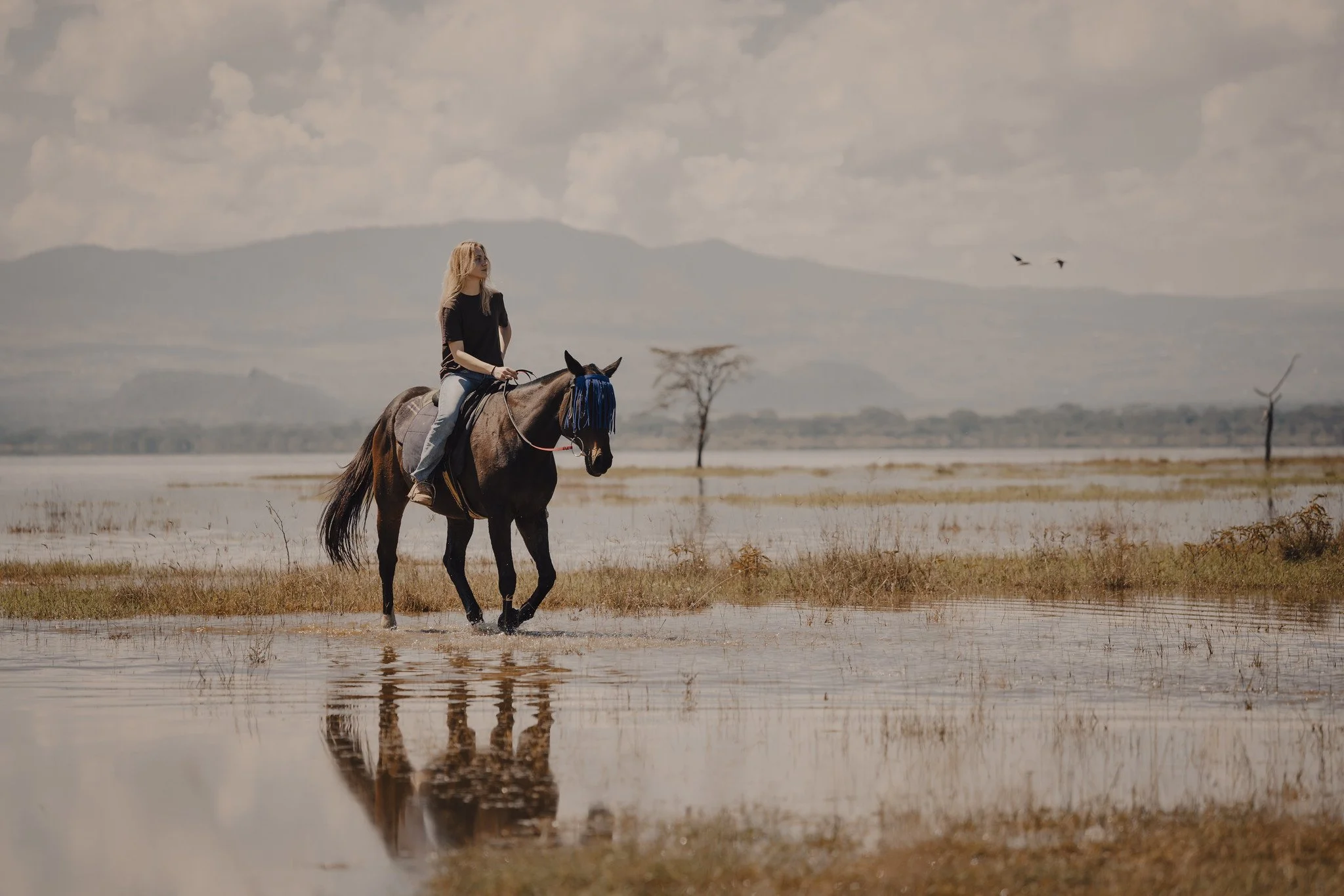 Horse back riding safari in Kenya
