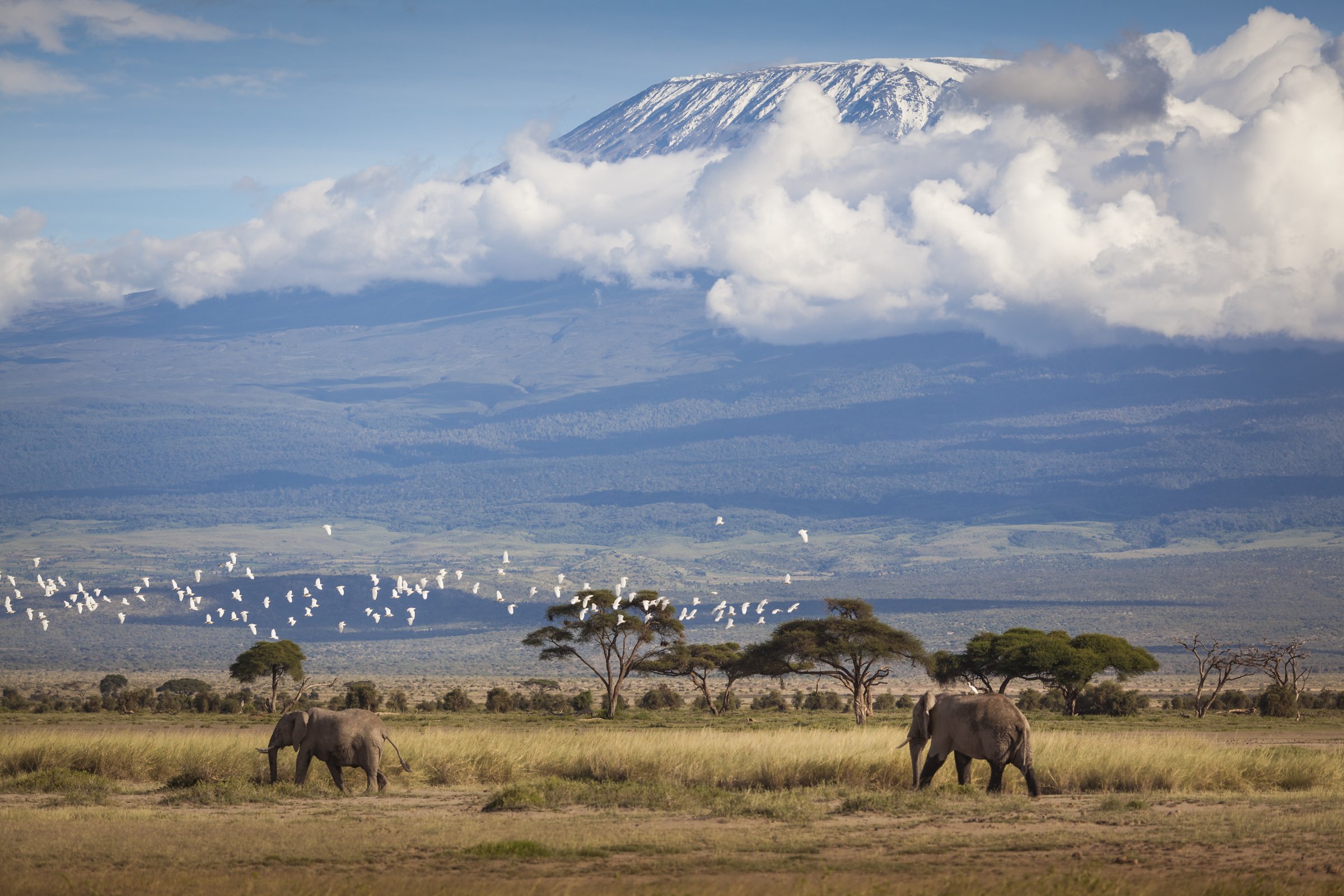Amboseli National Park