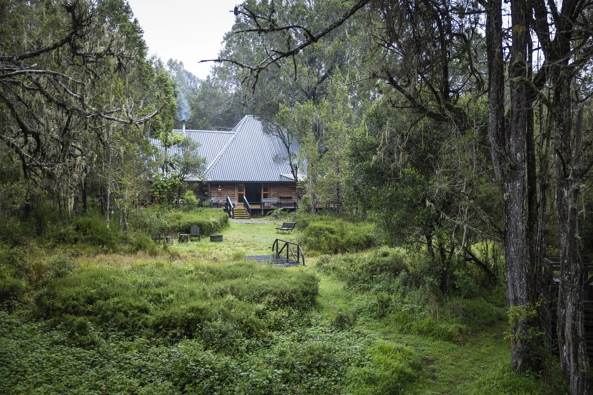 Aberdare Forest Fishing