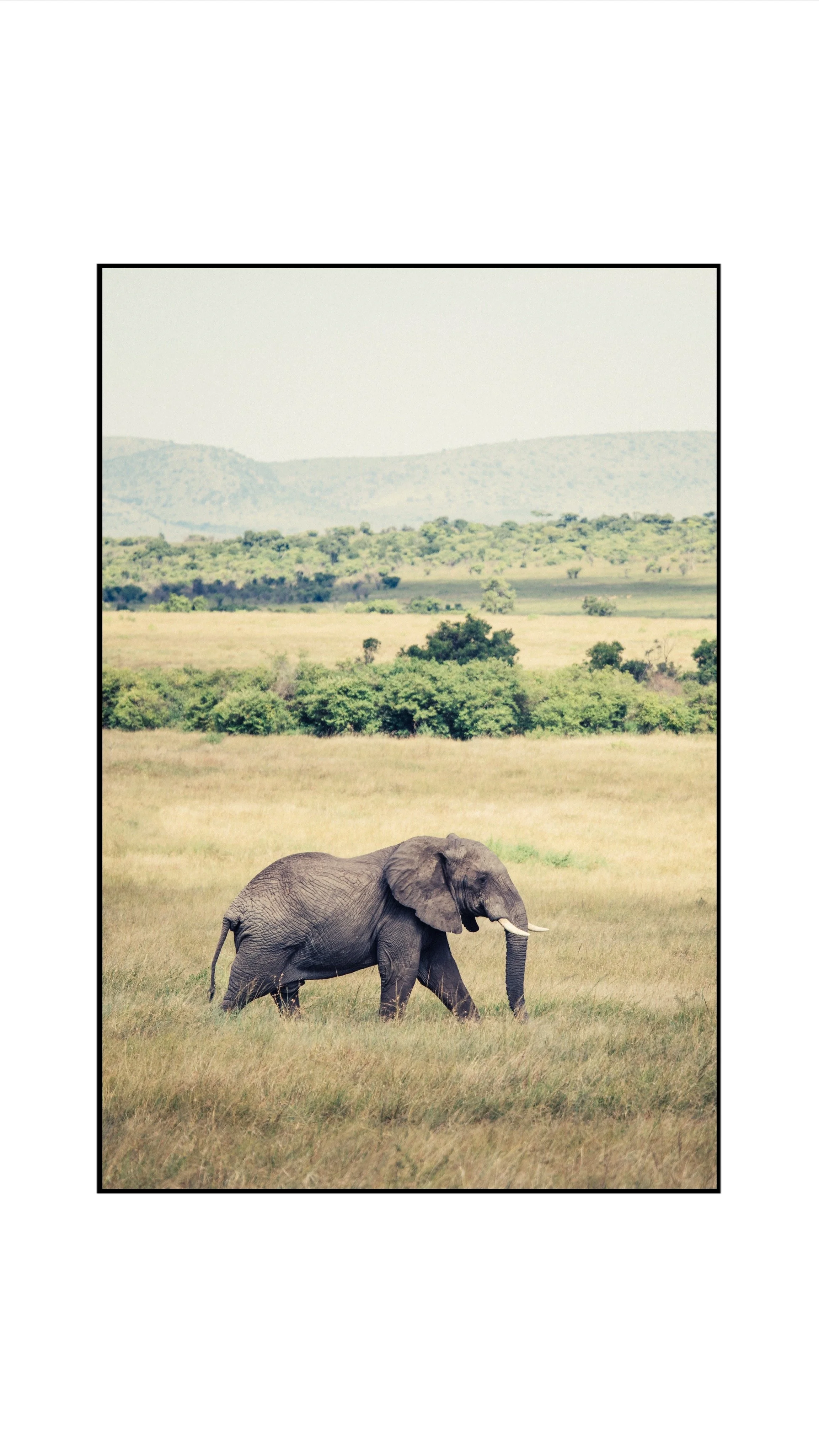 Luxury Kenya safari