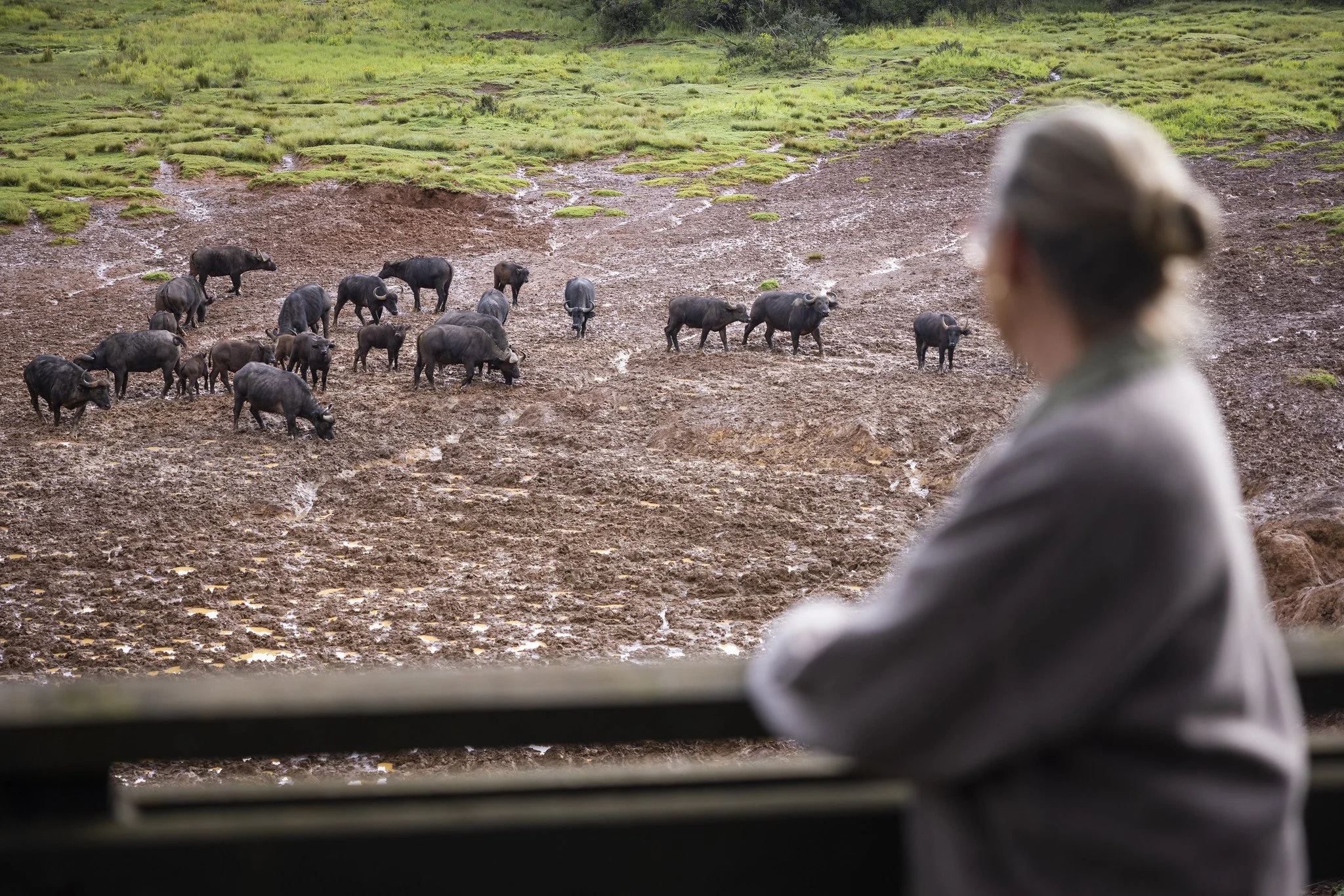Aberdare Forest with Eyes On Africa Safaris