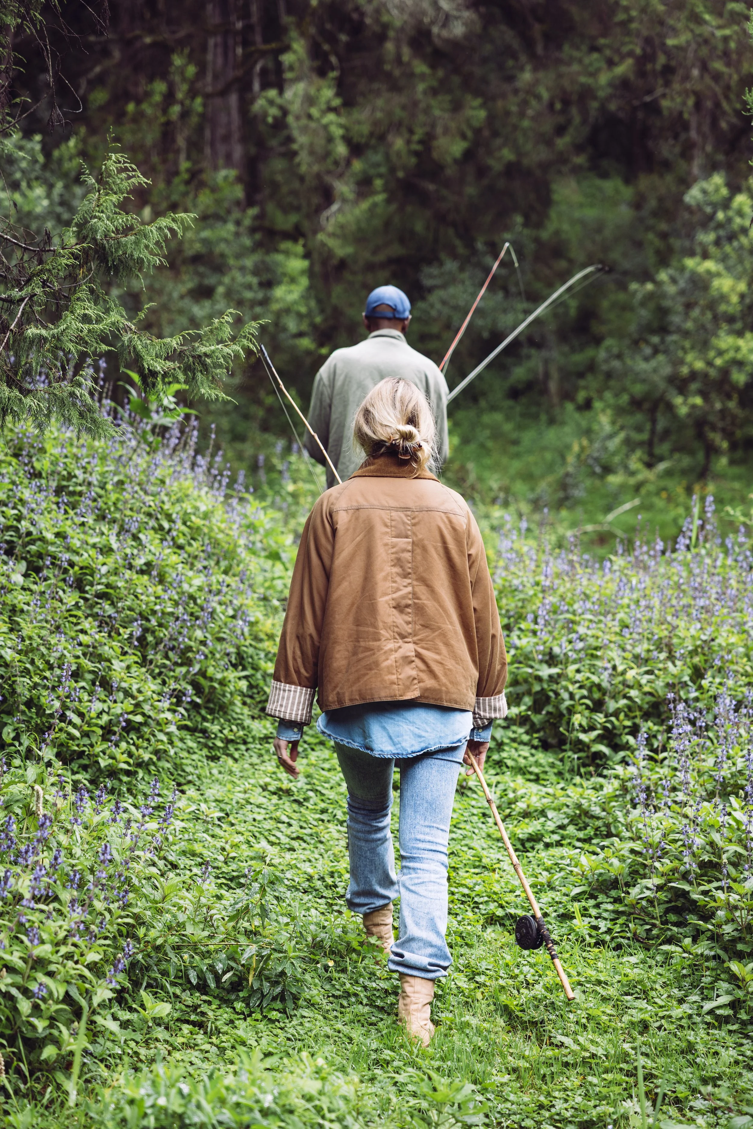 Aberdare Forest Kenya