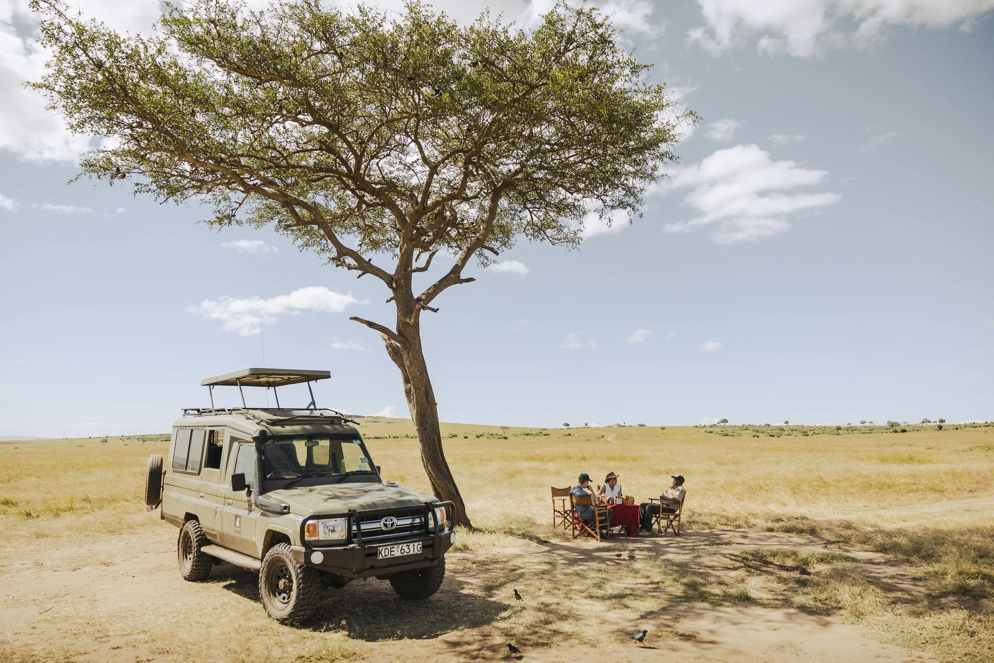 A safari scene in a grassland with a beige off-road vehicle parked beside a large tree. Three people are seated at a small table under the tree, engaged in conversation. The landscape features an open, flat plains with a few distant trees under a par
