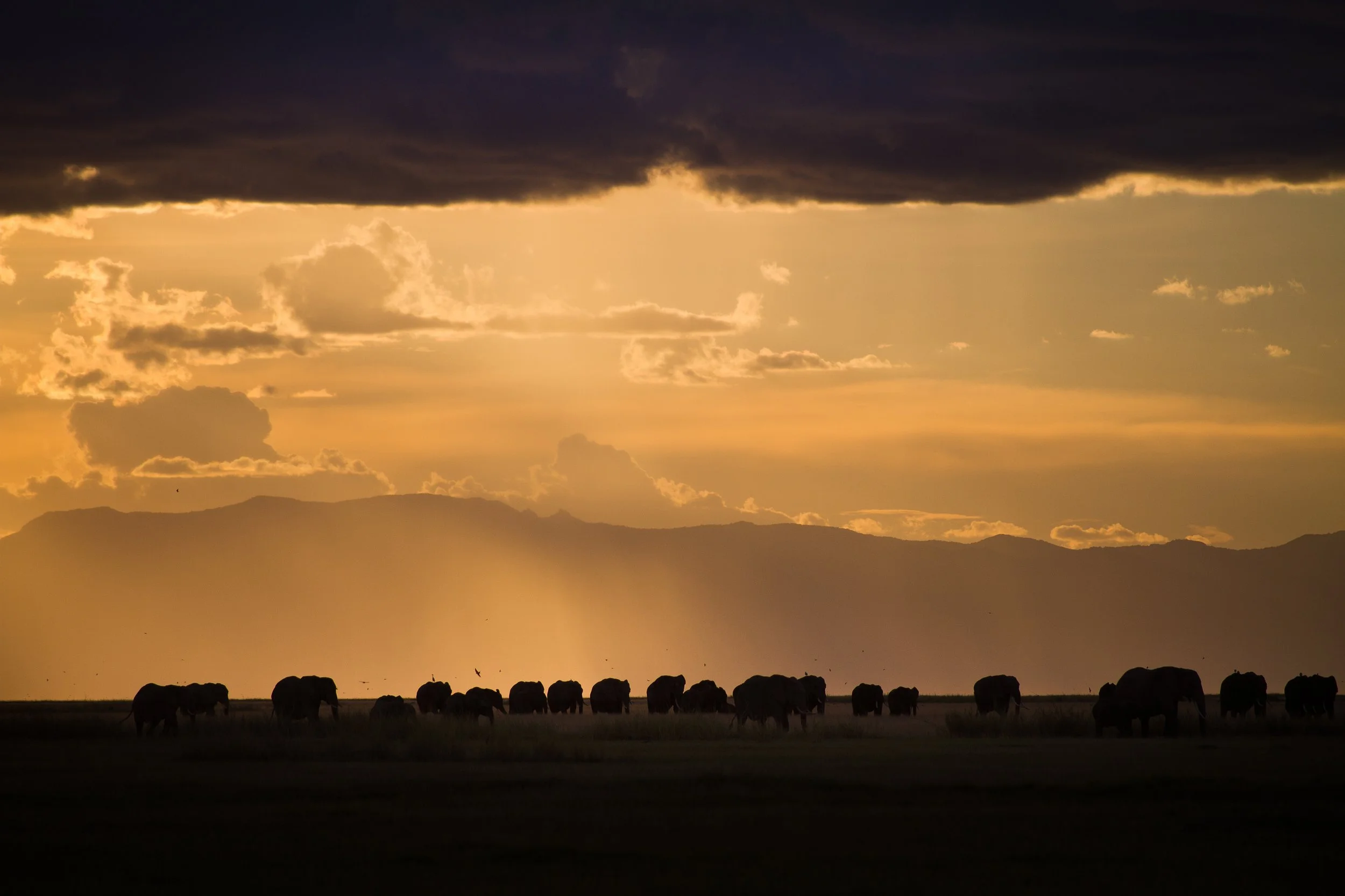 Amboseli National Park