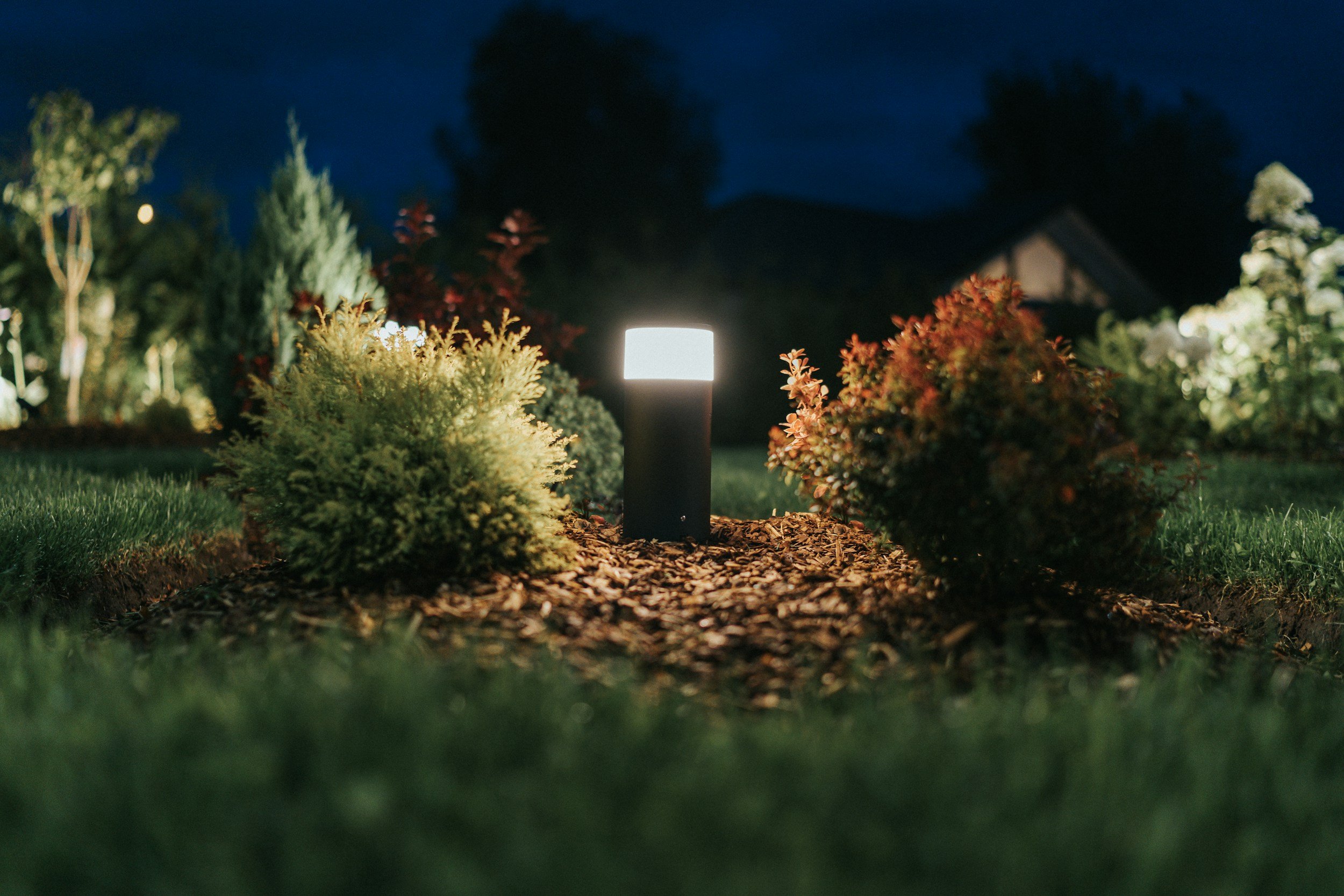 Outdoor landscape lighting illuminating a residential garden at night