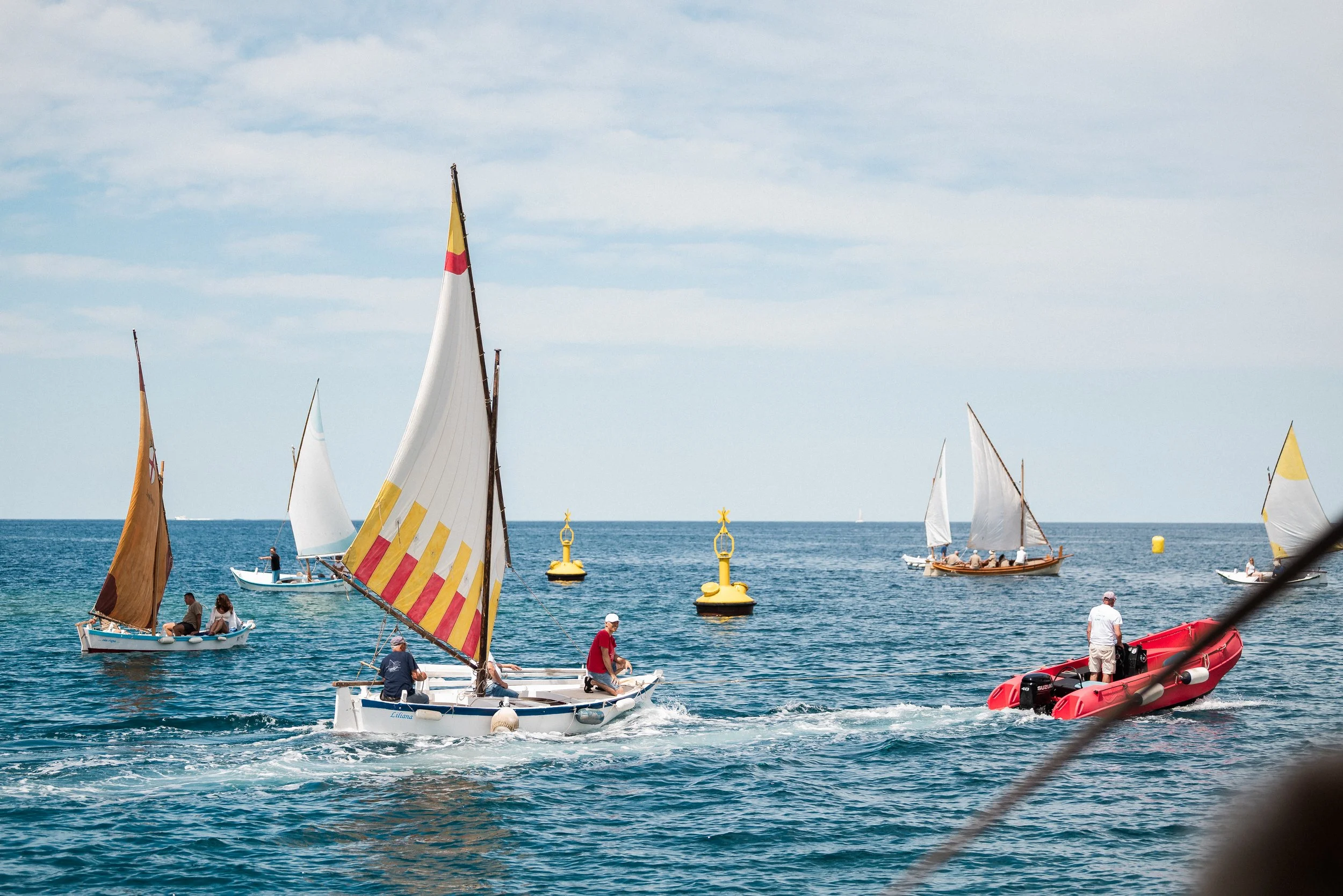 NZ5_5217.jpg