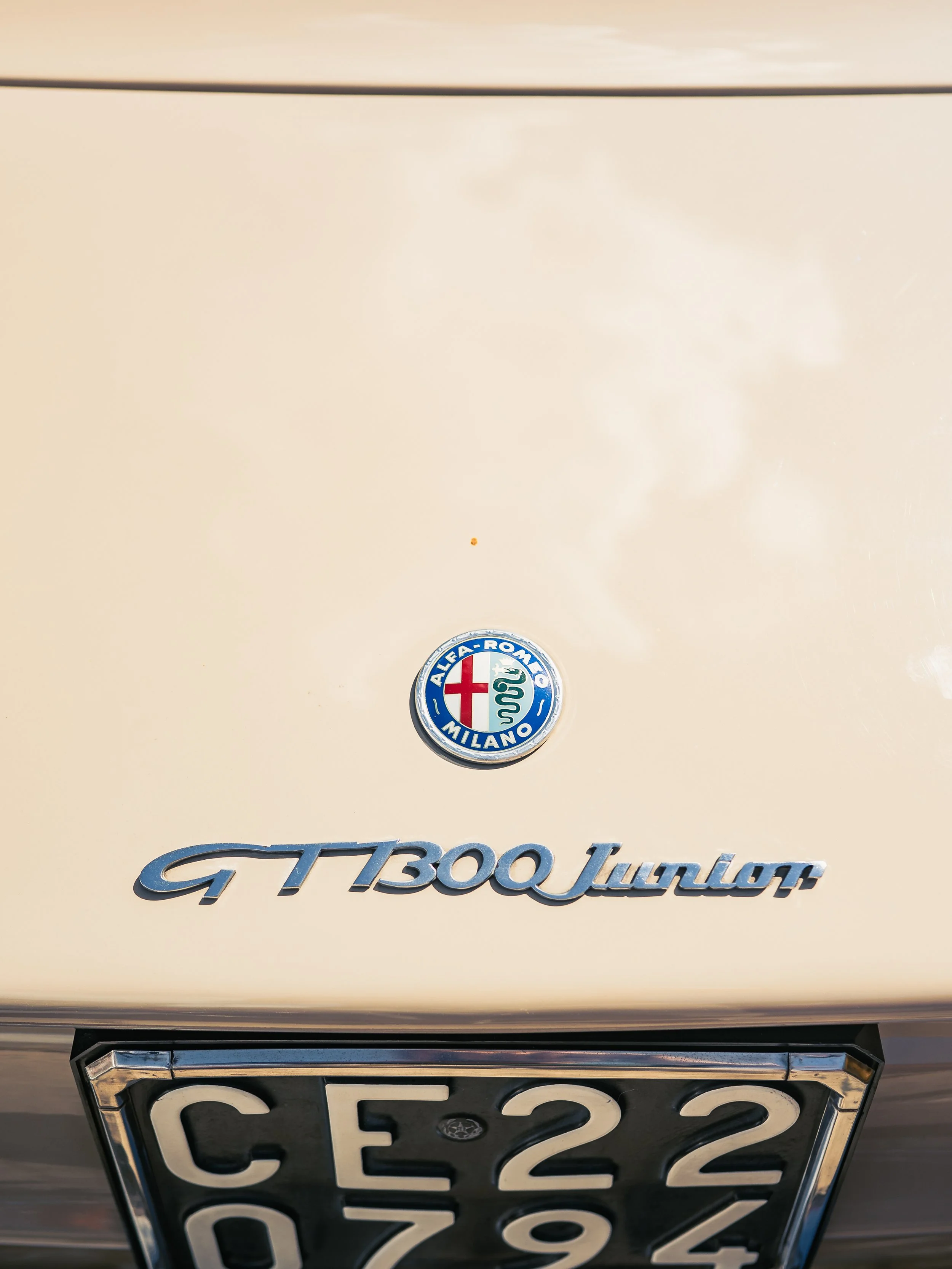 DSC_0901.jpg