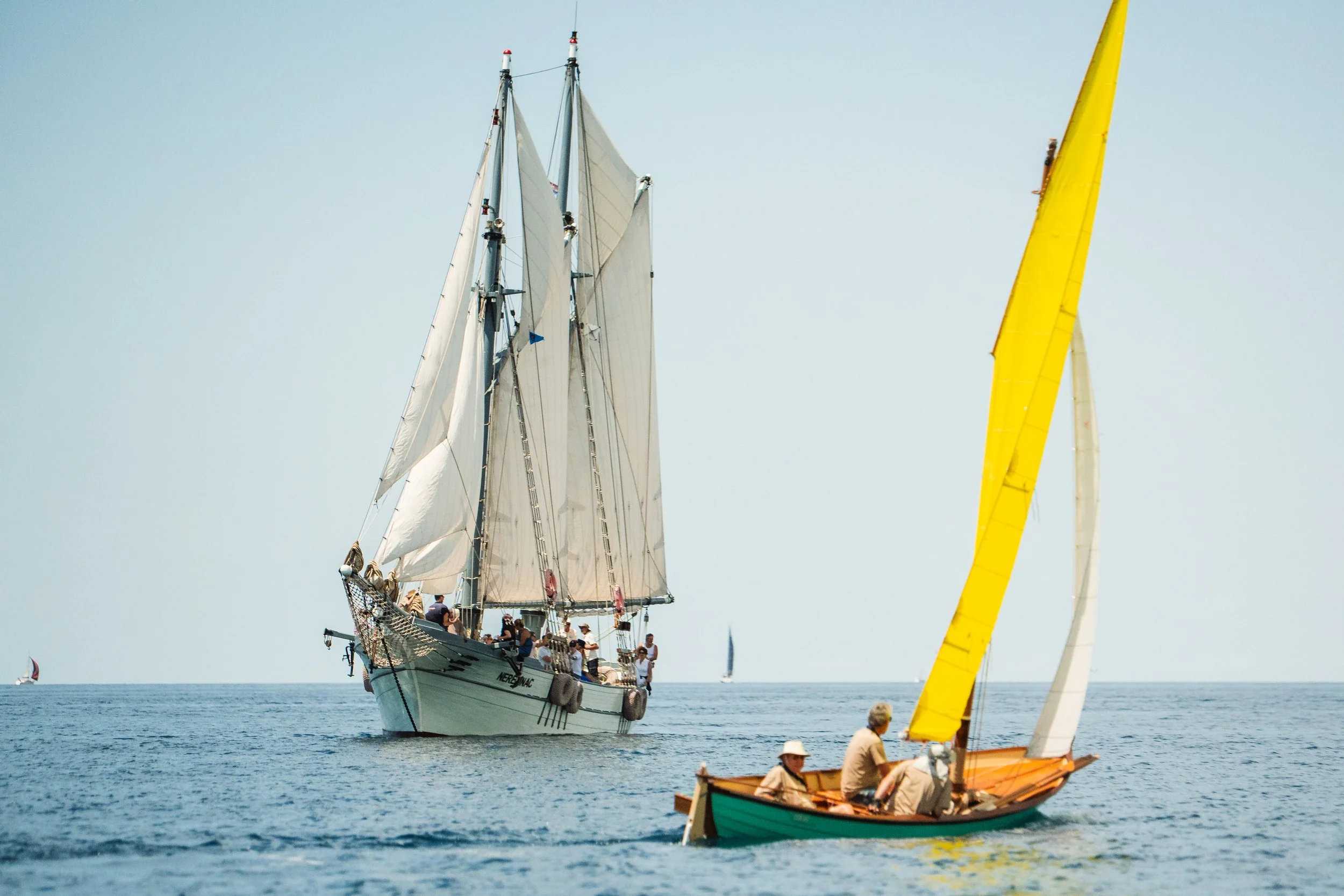 20. Rovinjska Regata