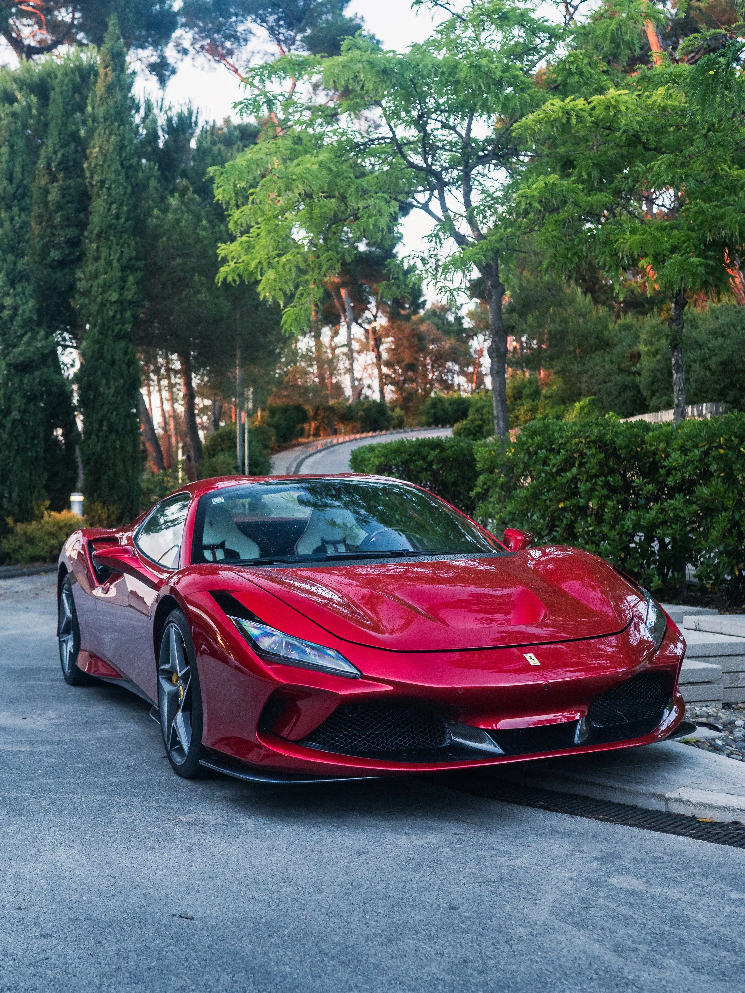 DSC_6563.jpg