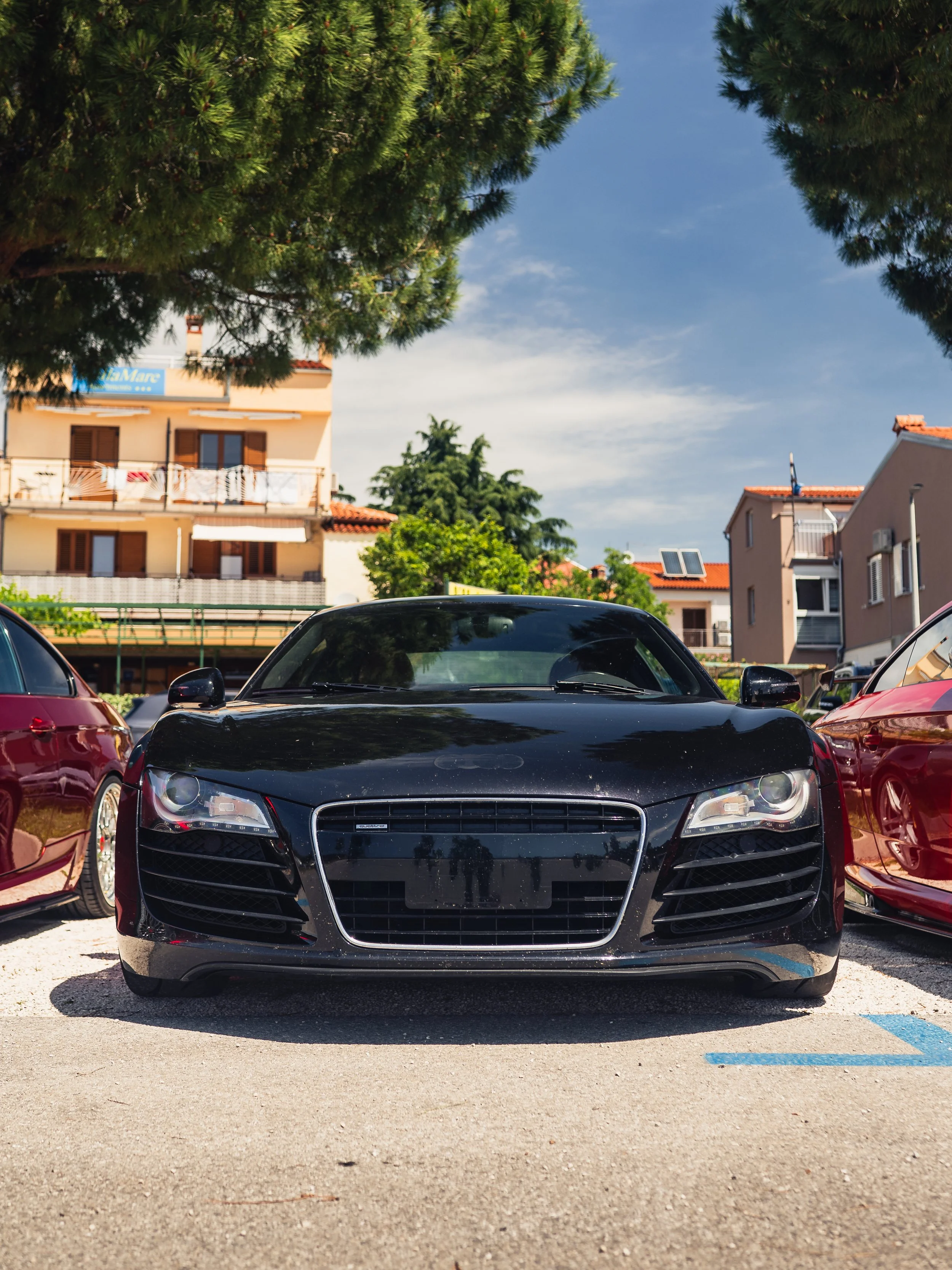 DSC_6701-2.jpg