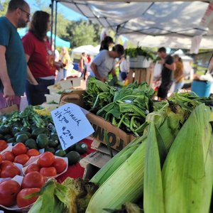 Clermont Farmers Market | Sundays in Historic Downtown — Clermont Main