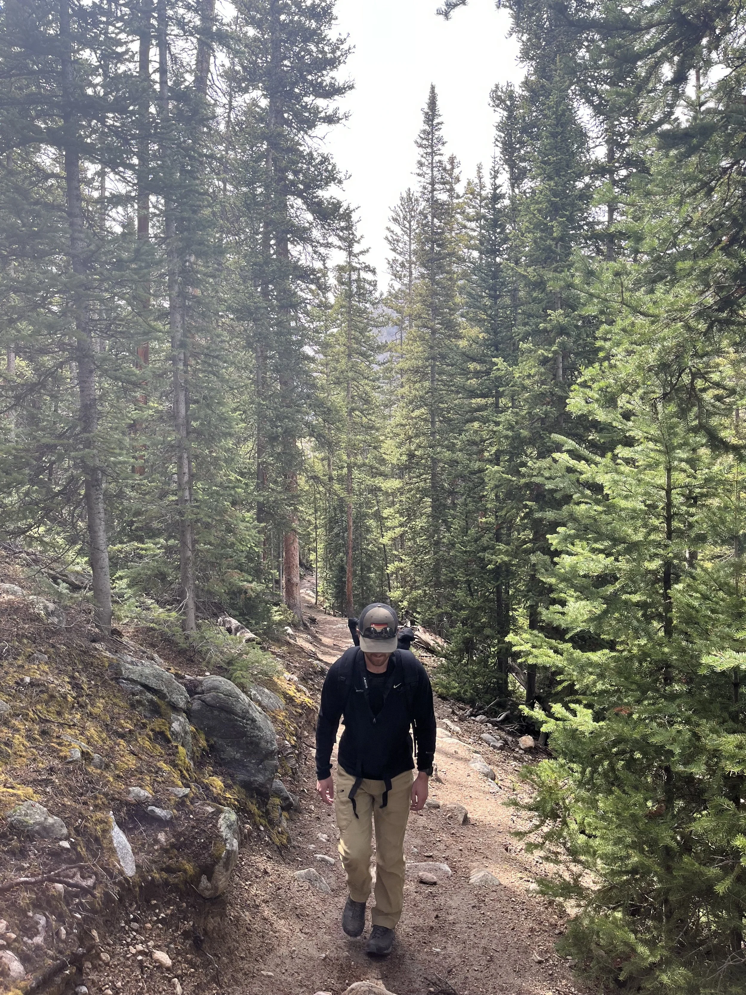 A person wearing a hat and black jacket hiking on a trail surrounded by tall pine trees in a forest.