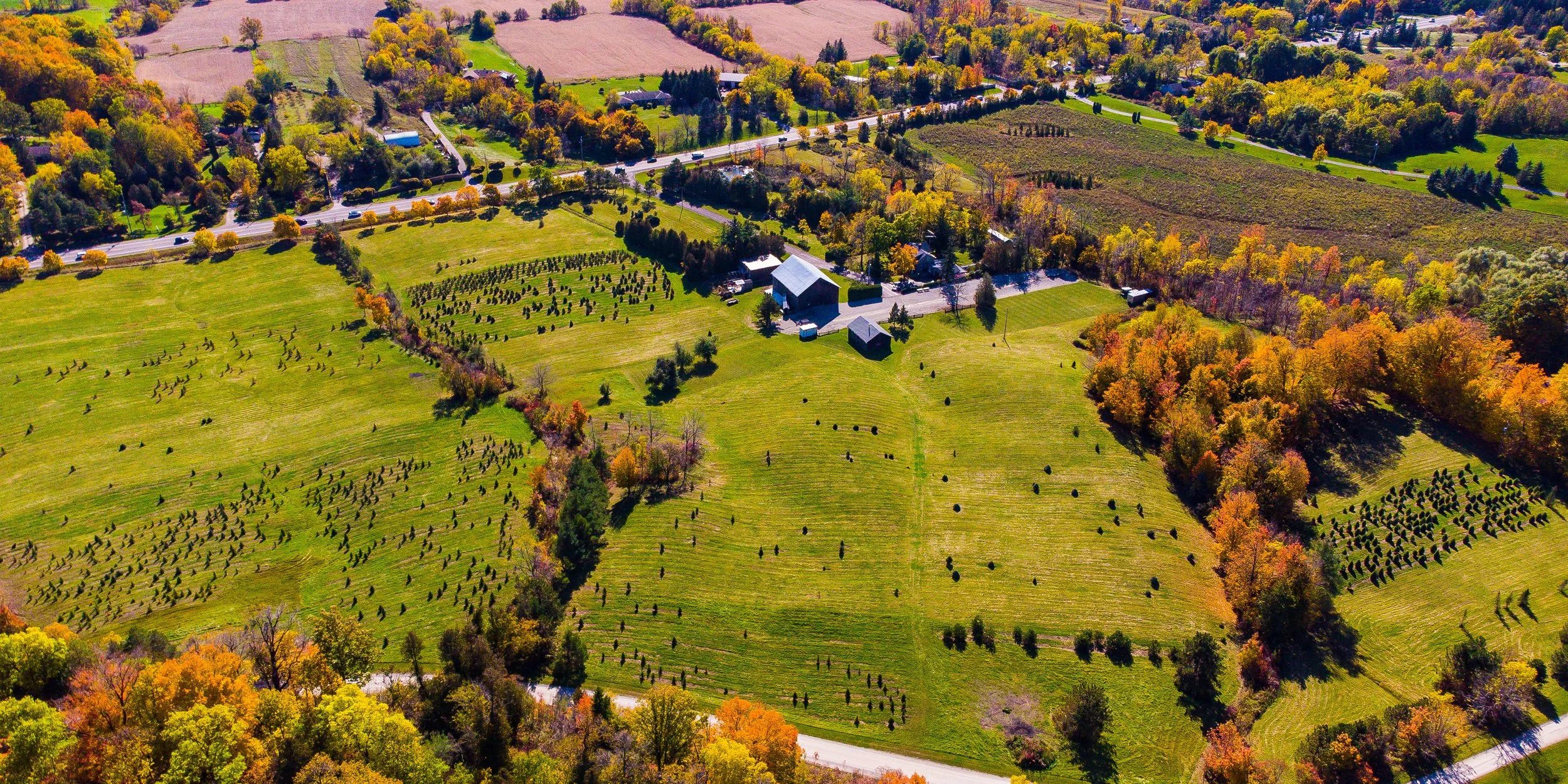 DJI_0978.jpg