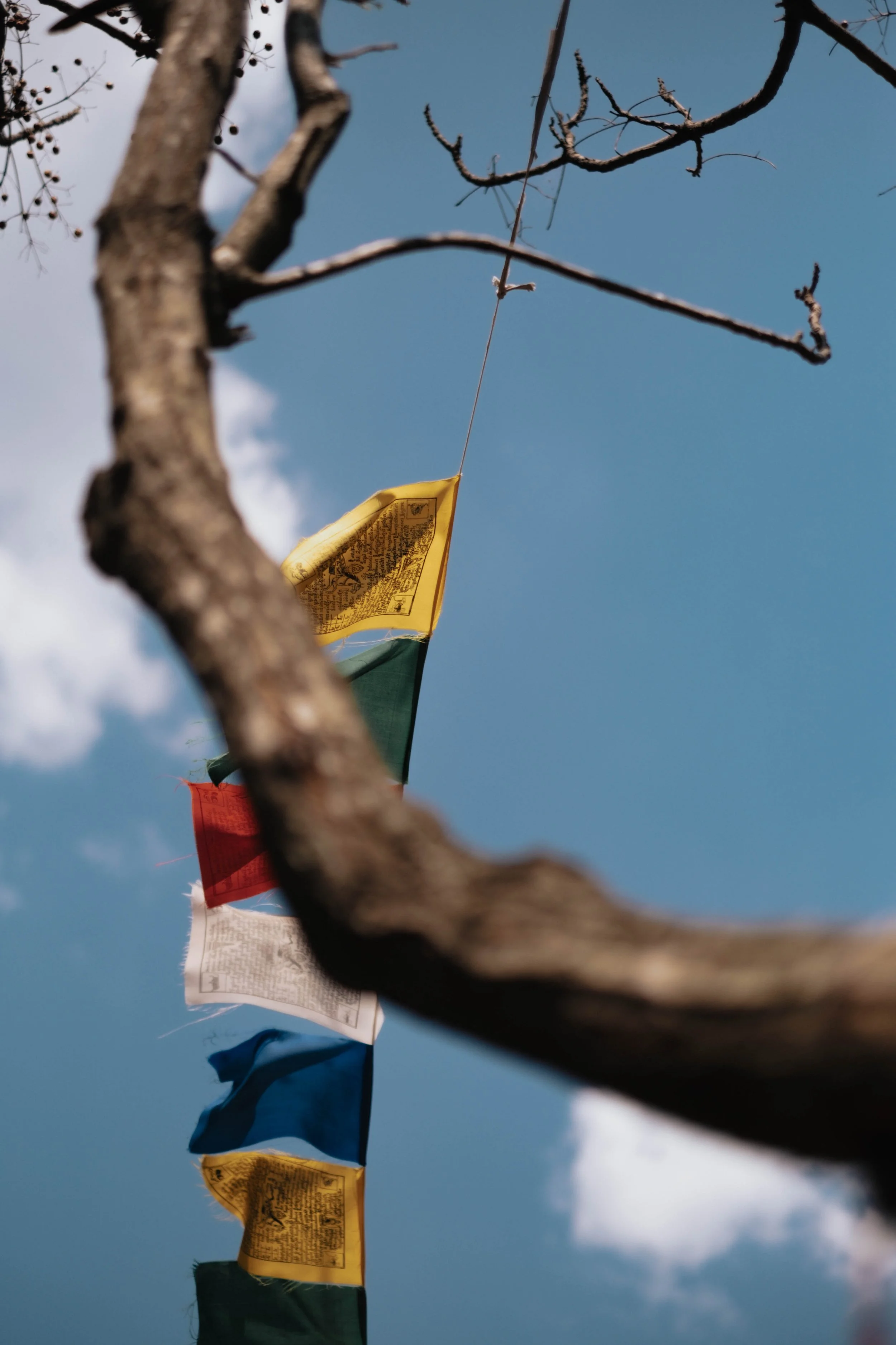 Portfolio apr_lr-91.jpg