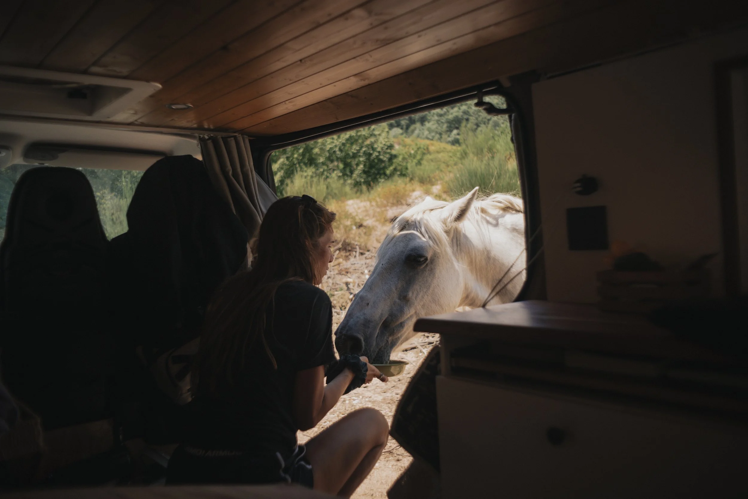 Roadtrip edit-18.jpg