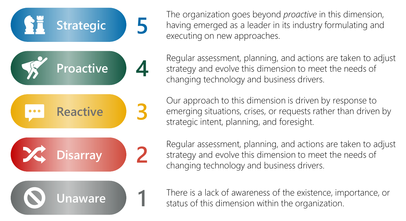 viii. AI Maturity Model