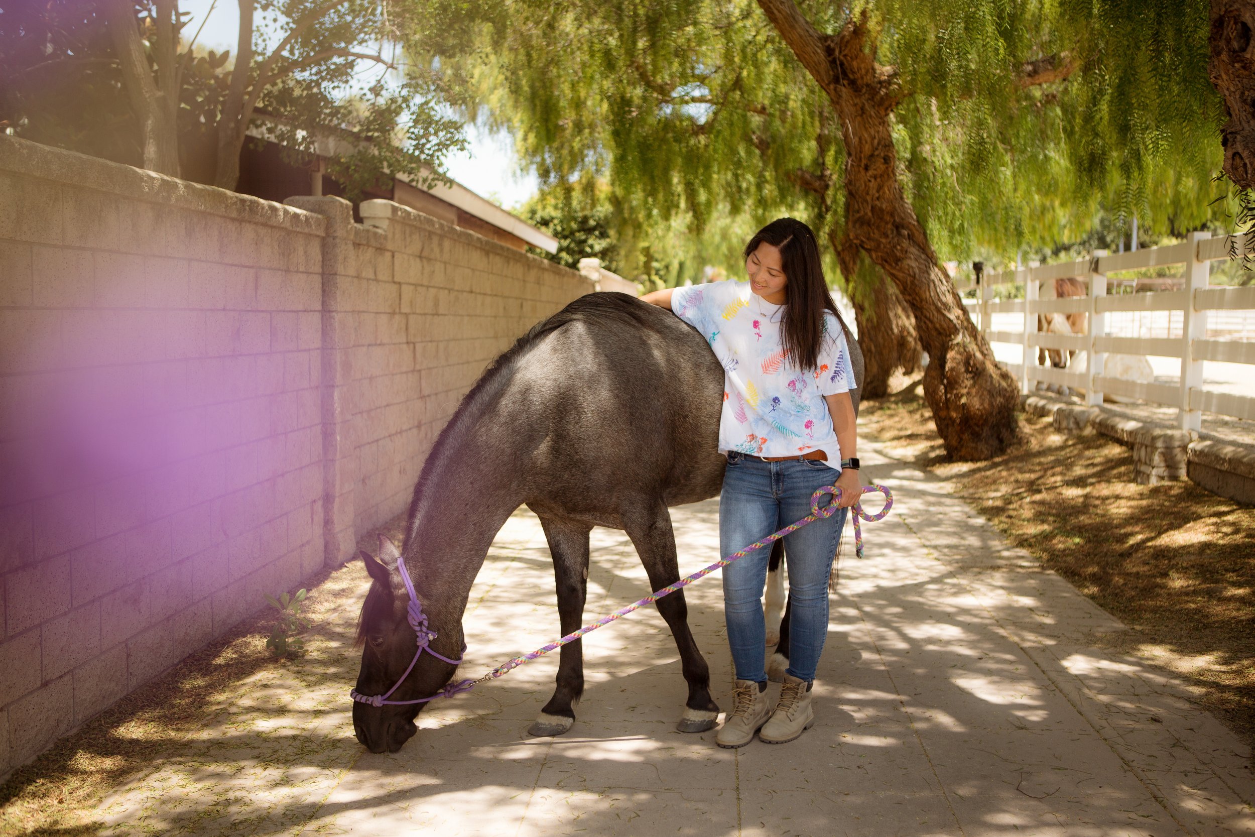 Healing in Connection: Equine Therapy at Walk Intuit